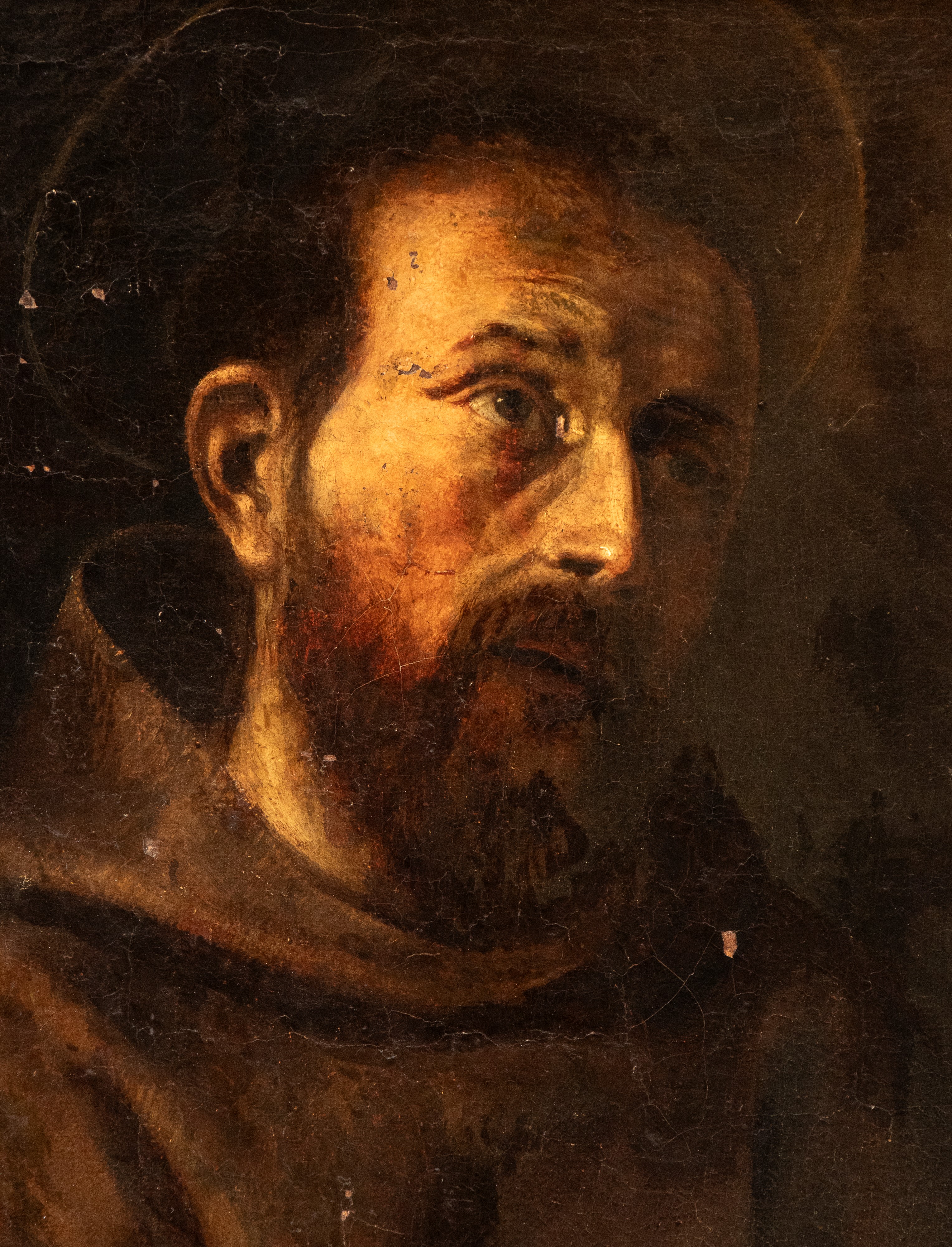 San Francesco penitente