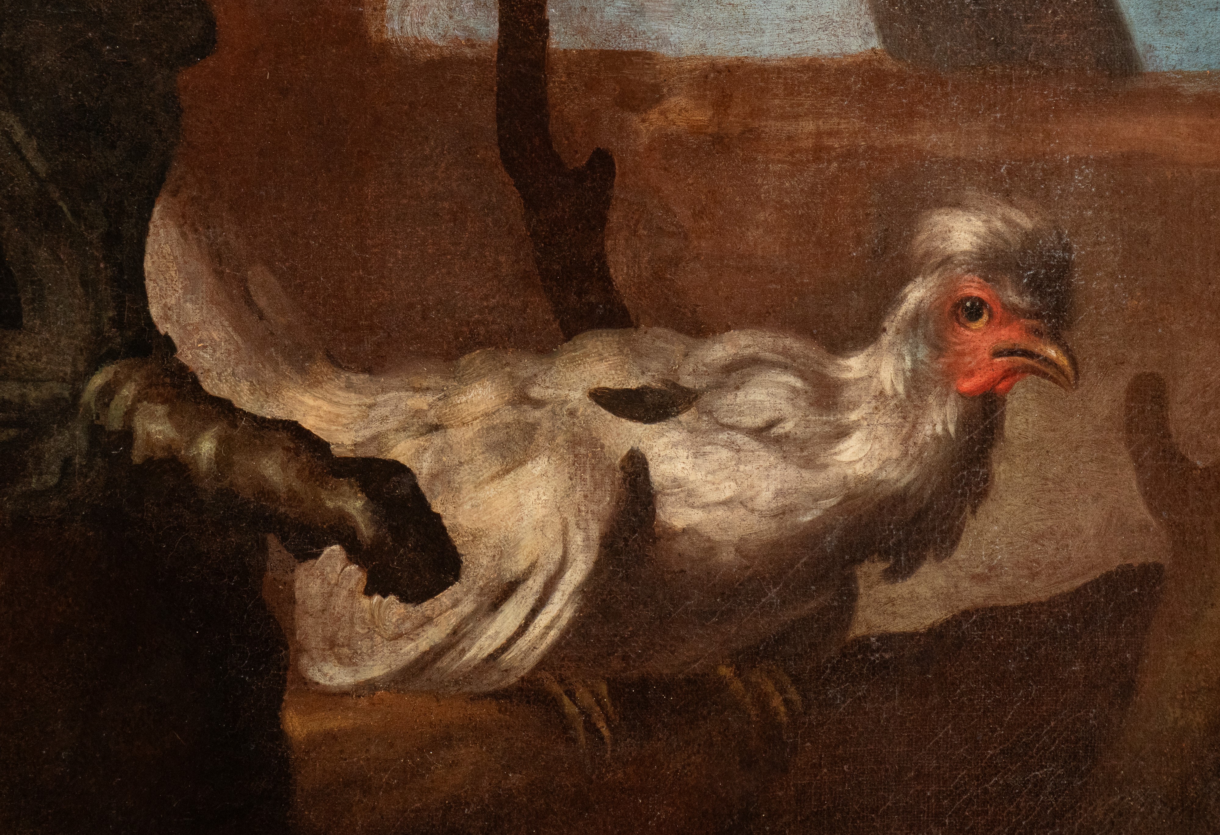 a) Natura morta con pescato, verdura, vasellame, ragazzo e un gatto; b) Natura morta con verdura,...