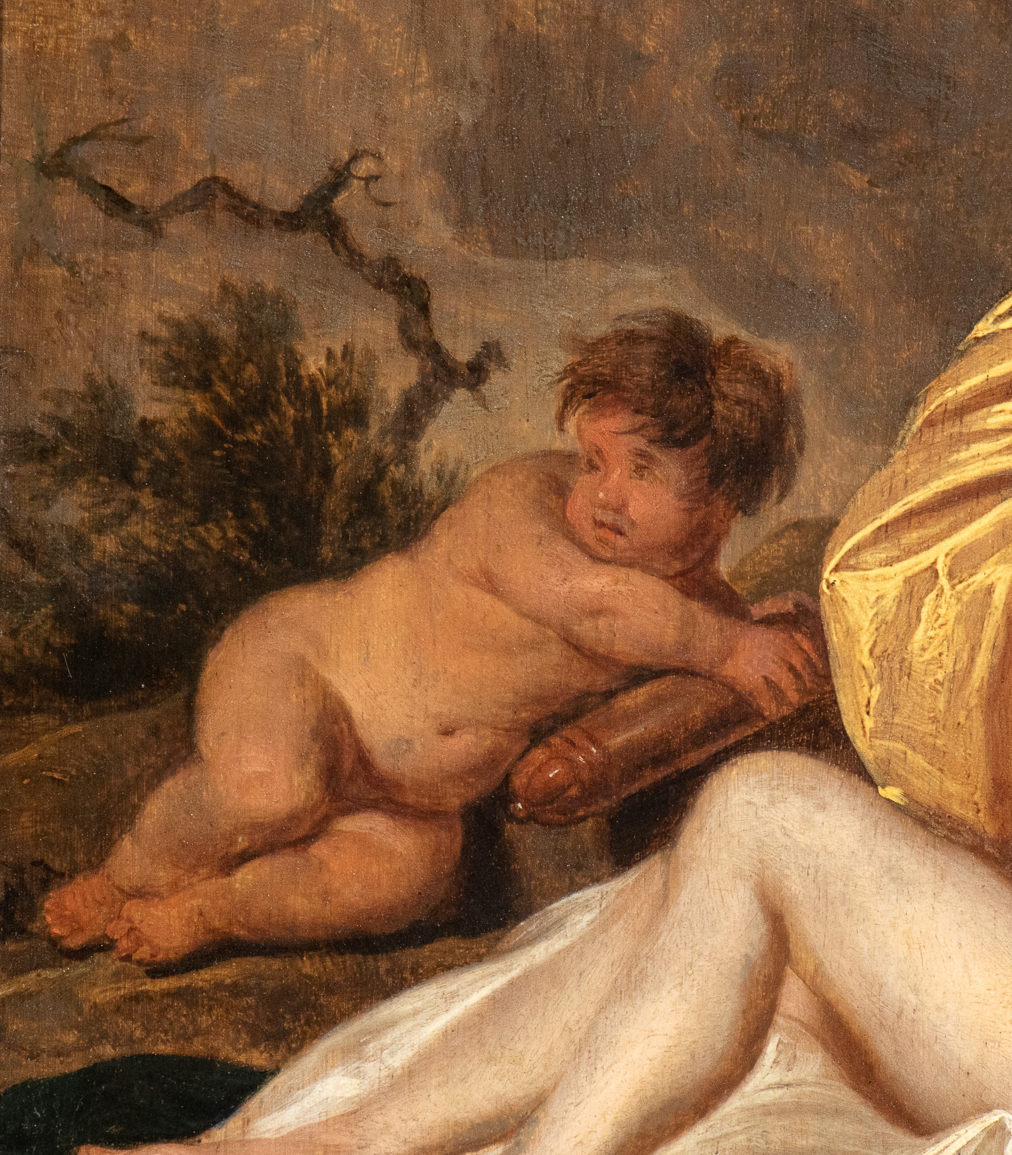 Venere in un paesaggio con un putto