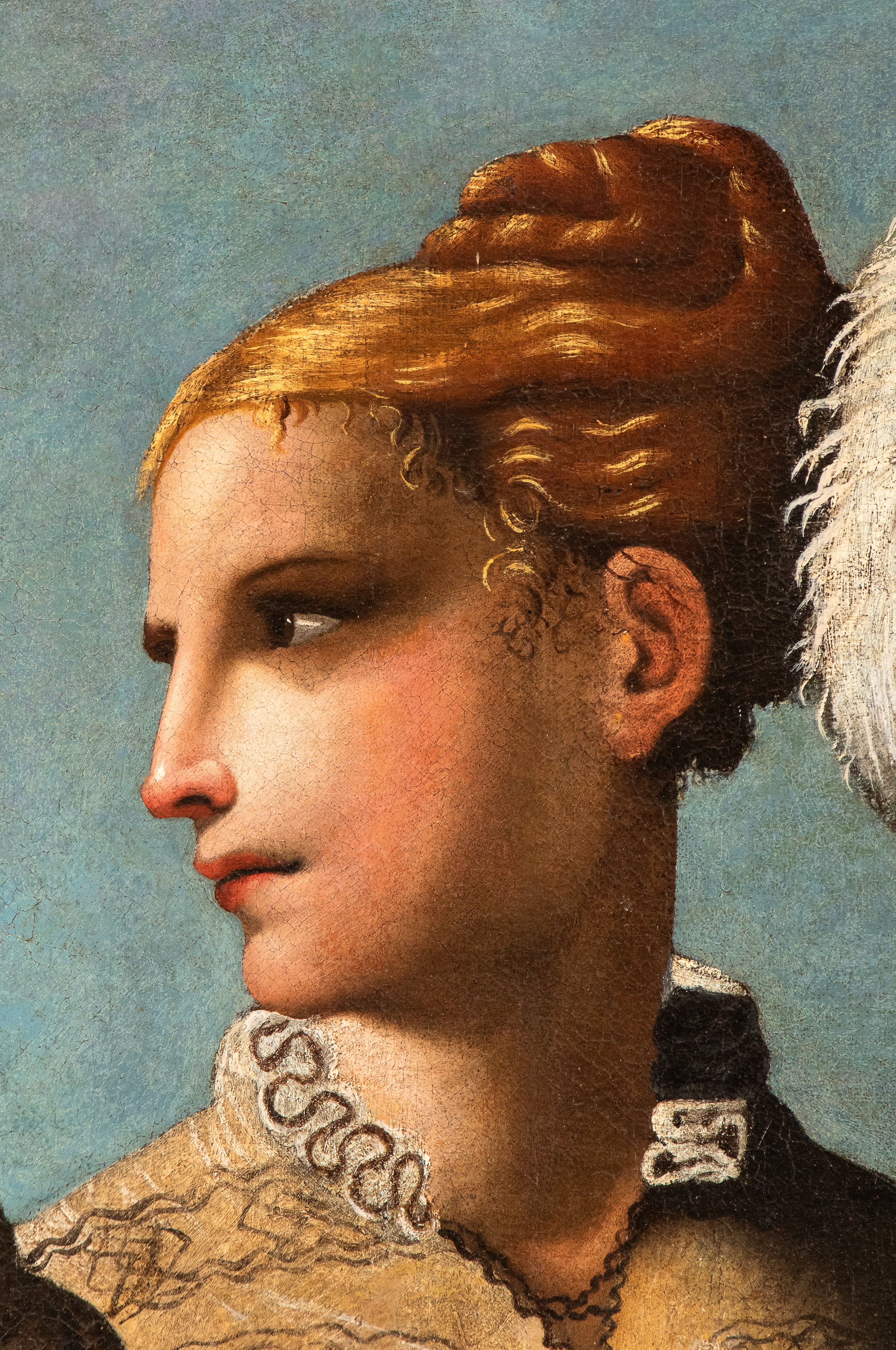 Nicolò Dell'abate - Testa di giovane donna, olio su tela