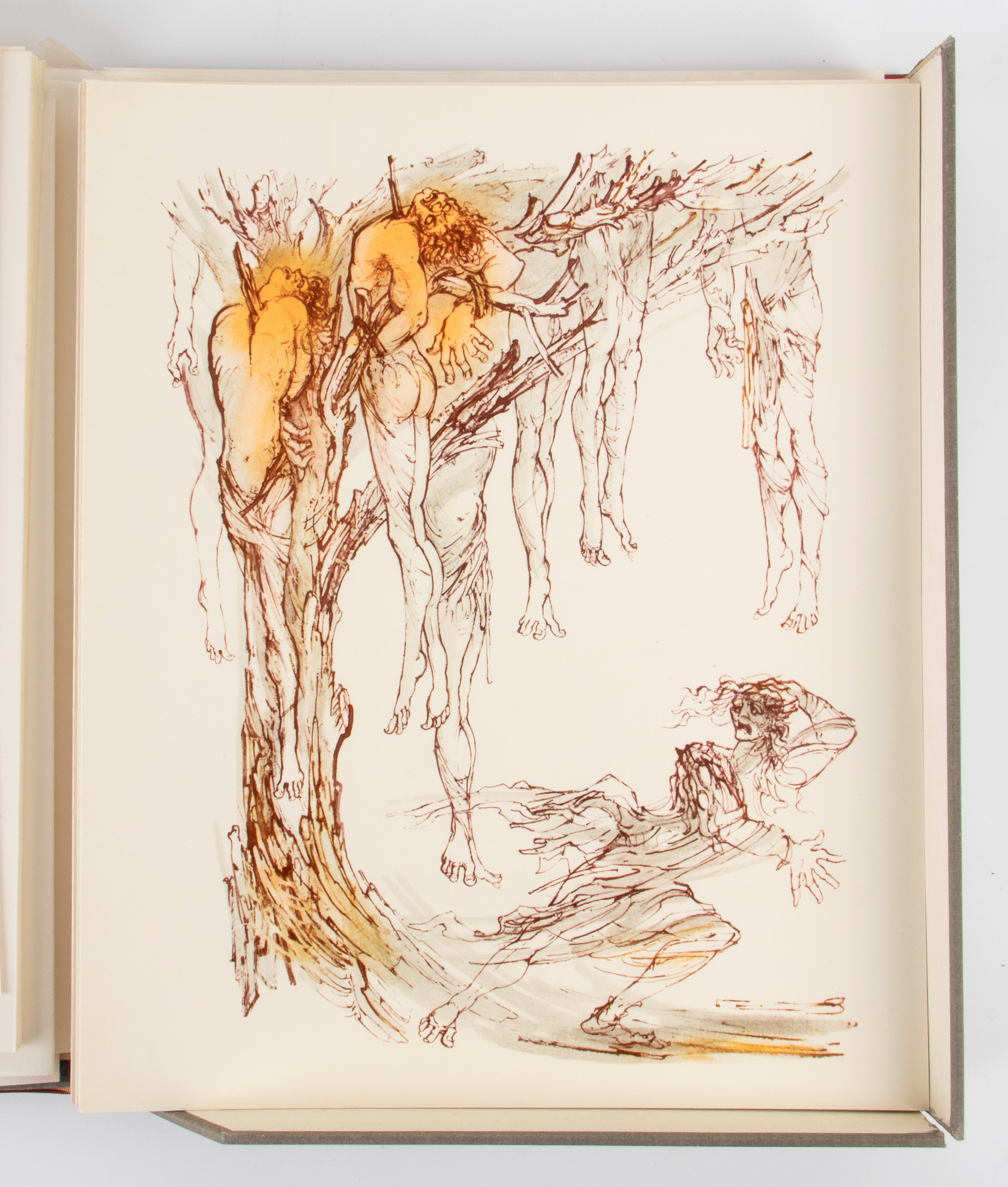 ARIOSTO Lodovico. Orlando Furioso di Ludovico Ariosto e introduzione di Riccardo Bacchelli