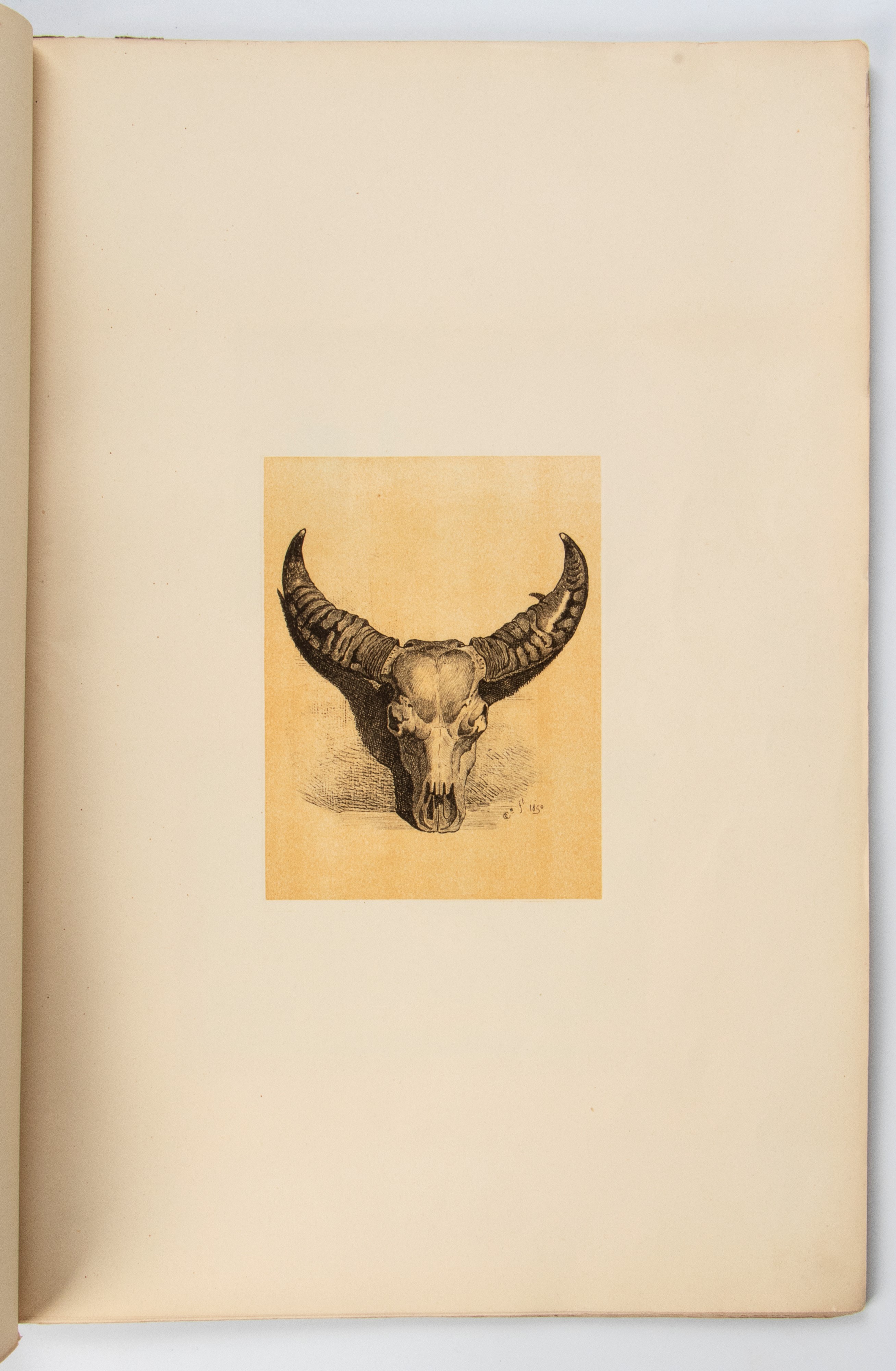 COLEMAN C. La Campagna romana. A series of subiects peculiar to the Campagna of Rome and Pontine ...