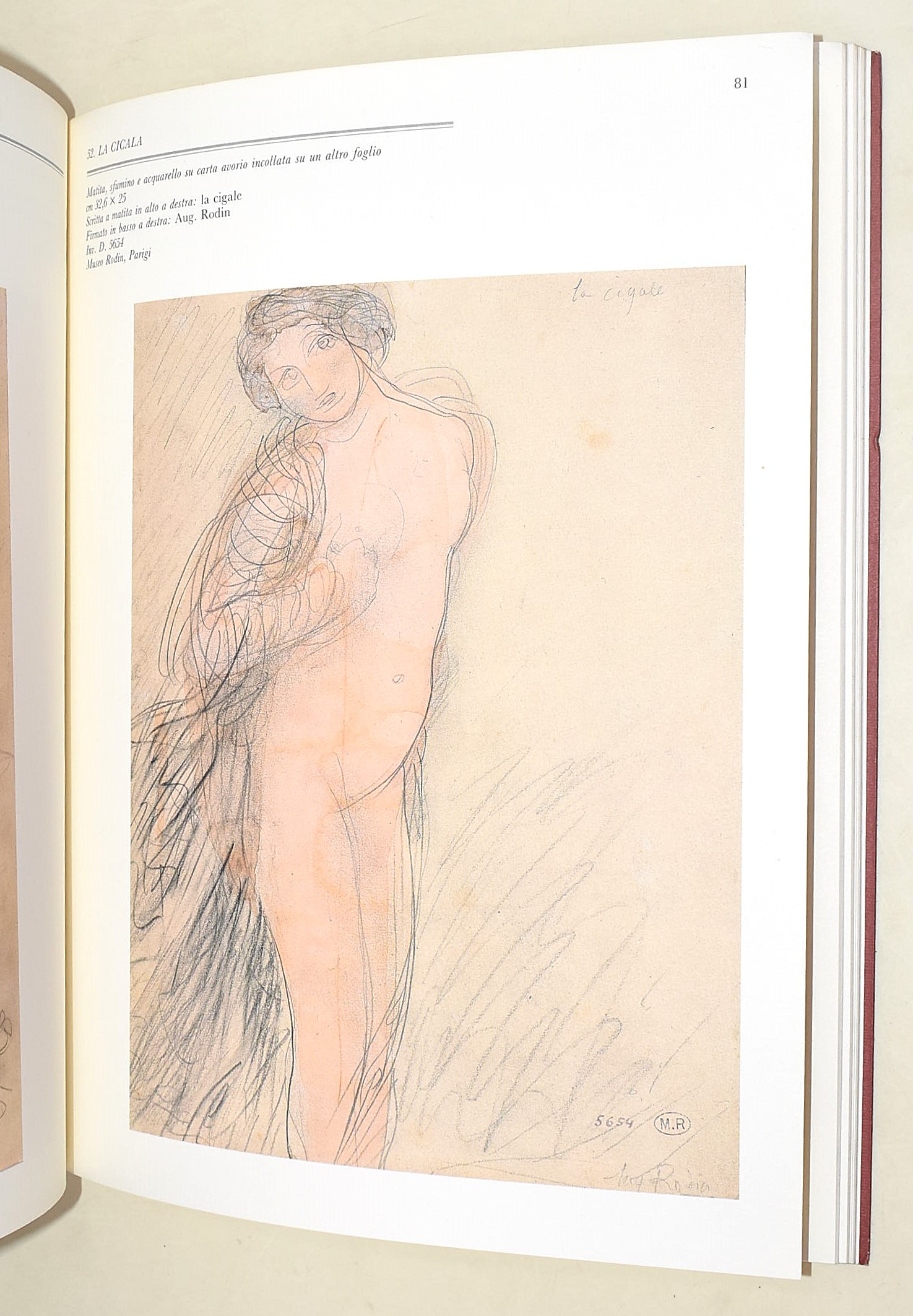 Auguste Rodin, Disegni e acquerelli dell’età matura; Rodin e l’Italia (2 volumi)