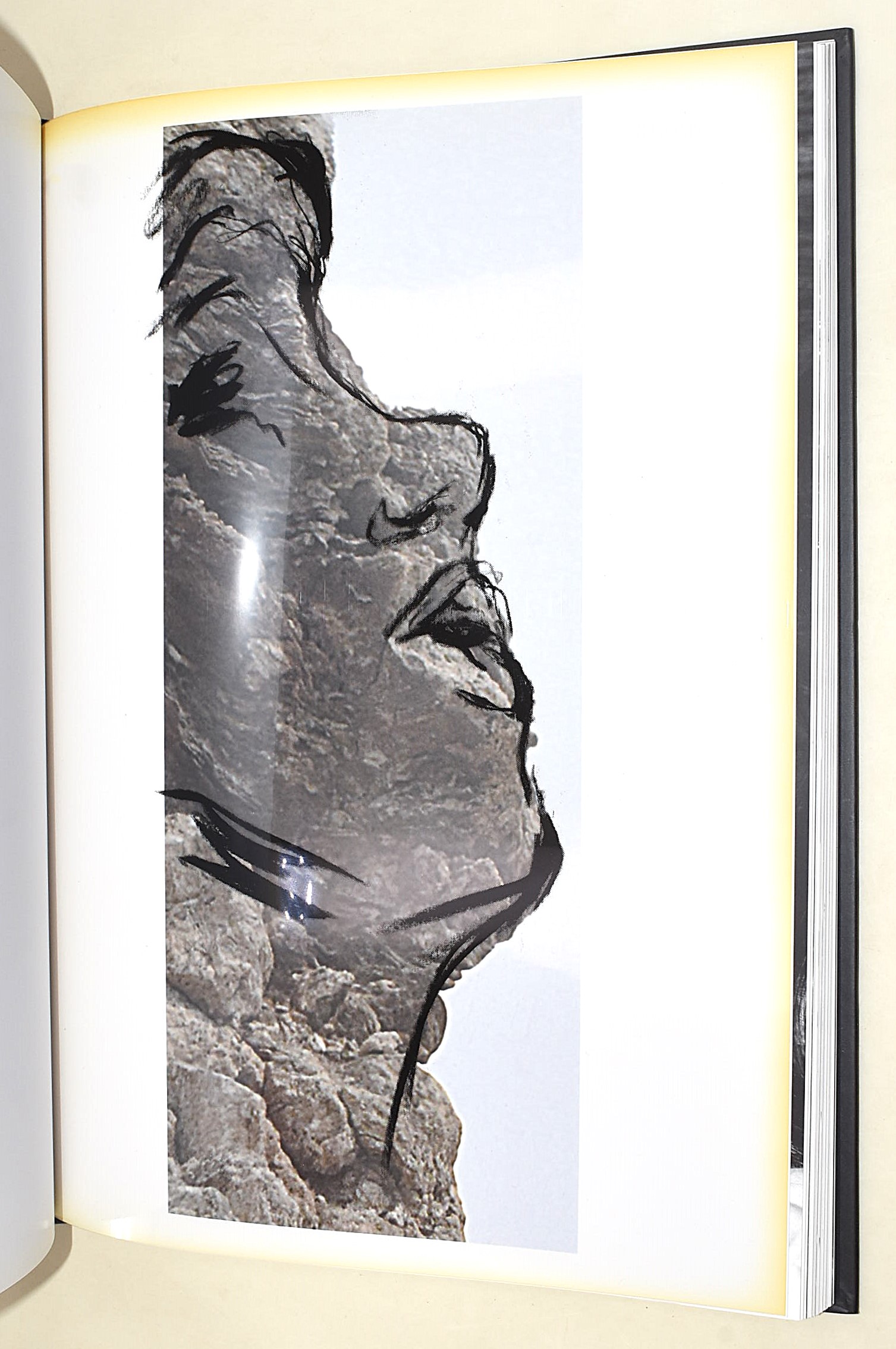 Francesca Leone, Arte Contemporanea con firma (2 volumi)