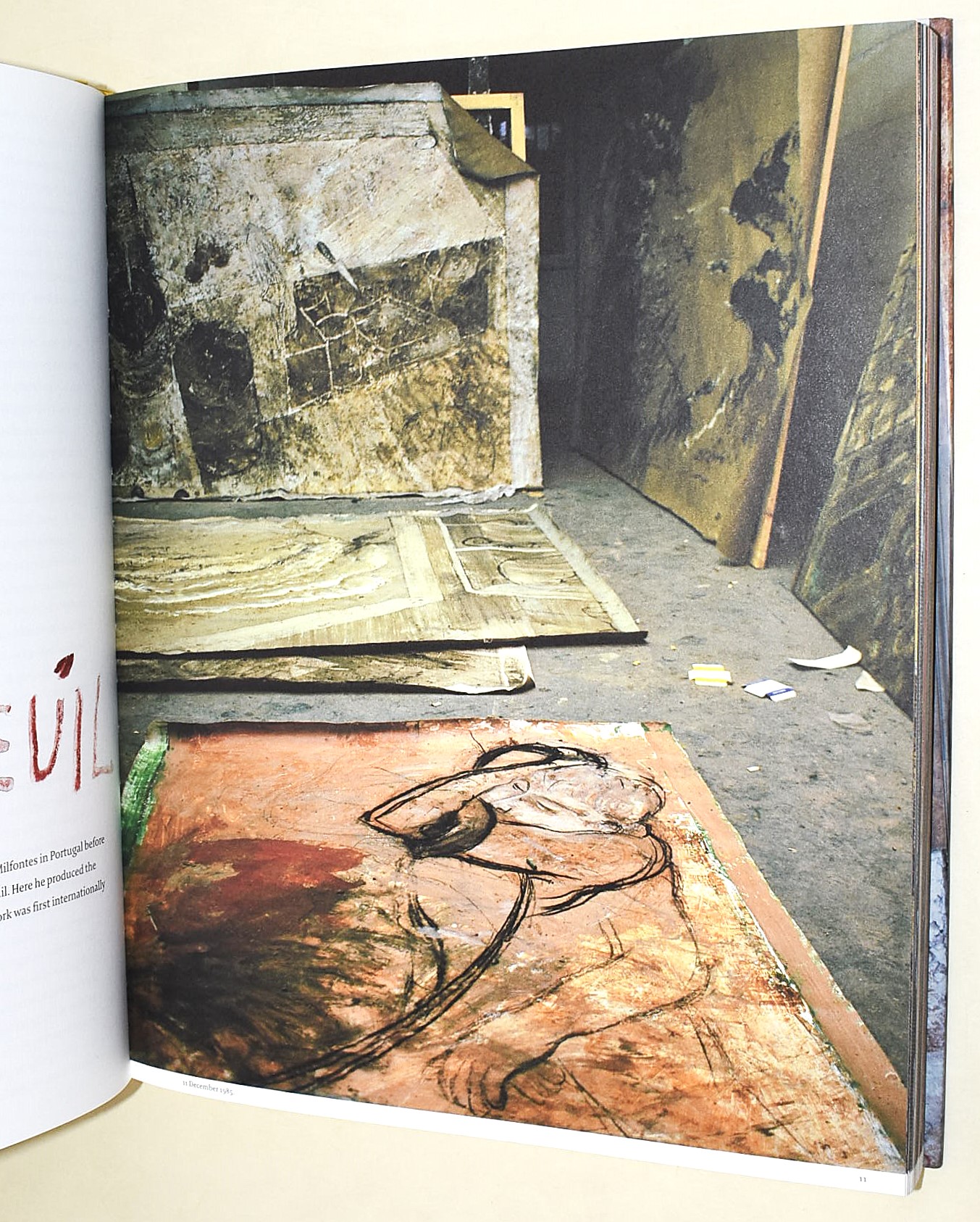 Barceló, Photographs by Jean-Marie del Moral. Edizione 2003