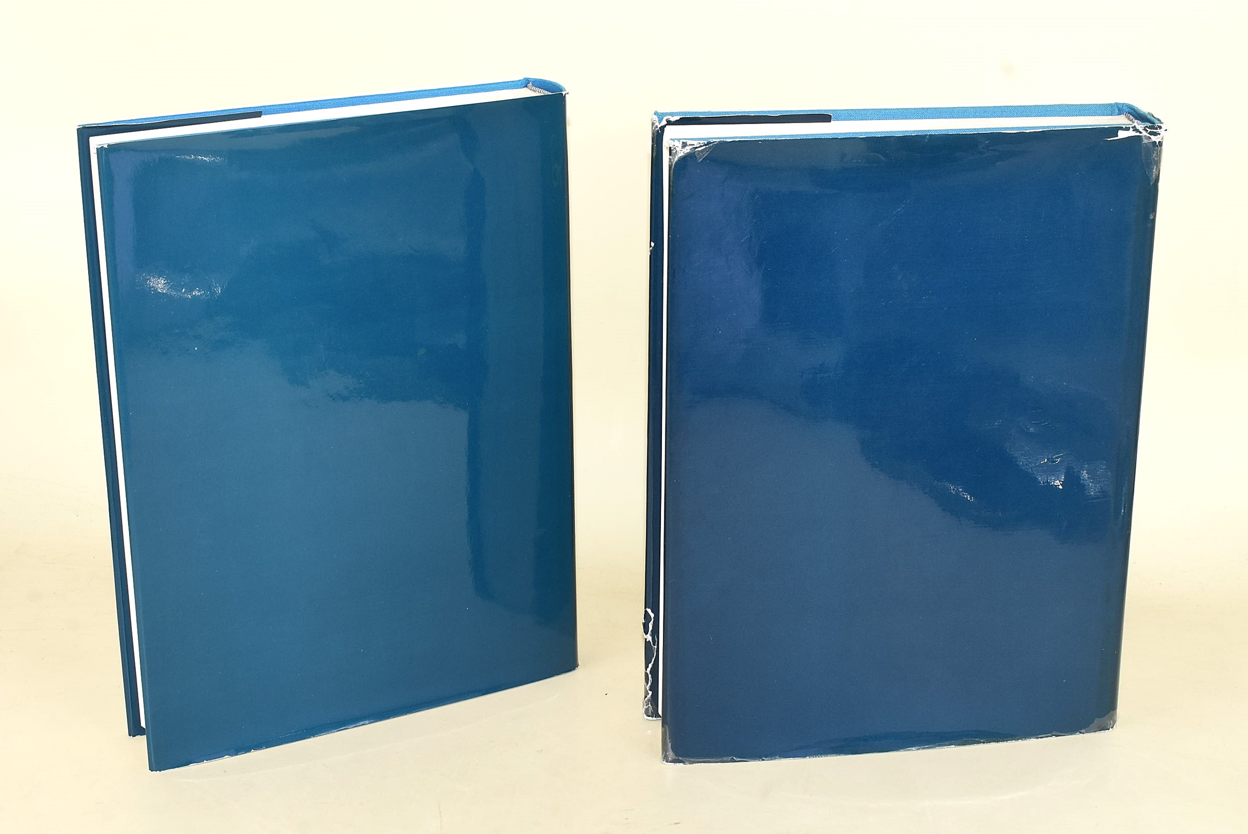Raoul Dufy, Catalogue raisonné des aquarelles, gouaches et pastels (1982)