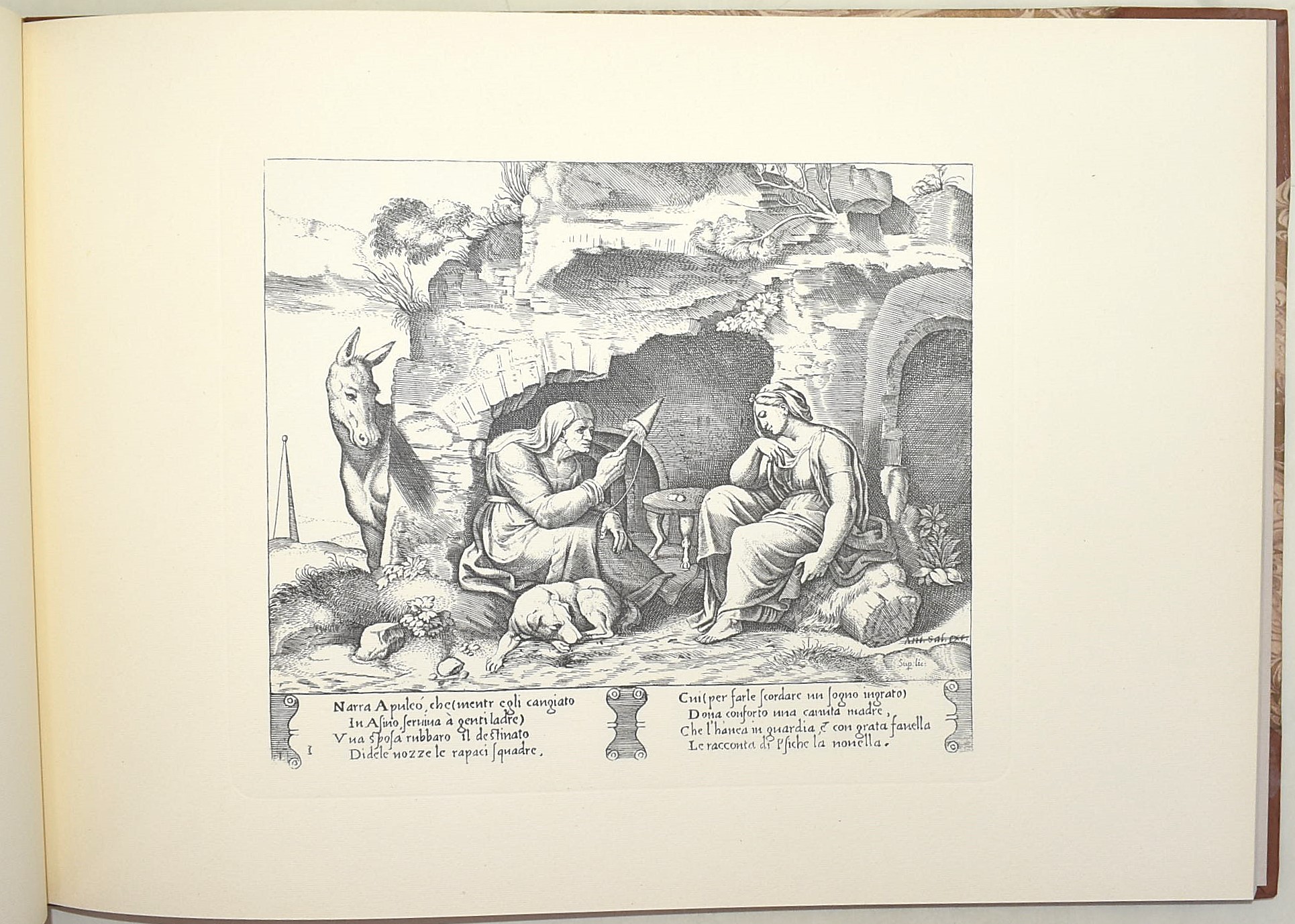 Raffaello Sanzio, La favola di Amore e Psiche