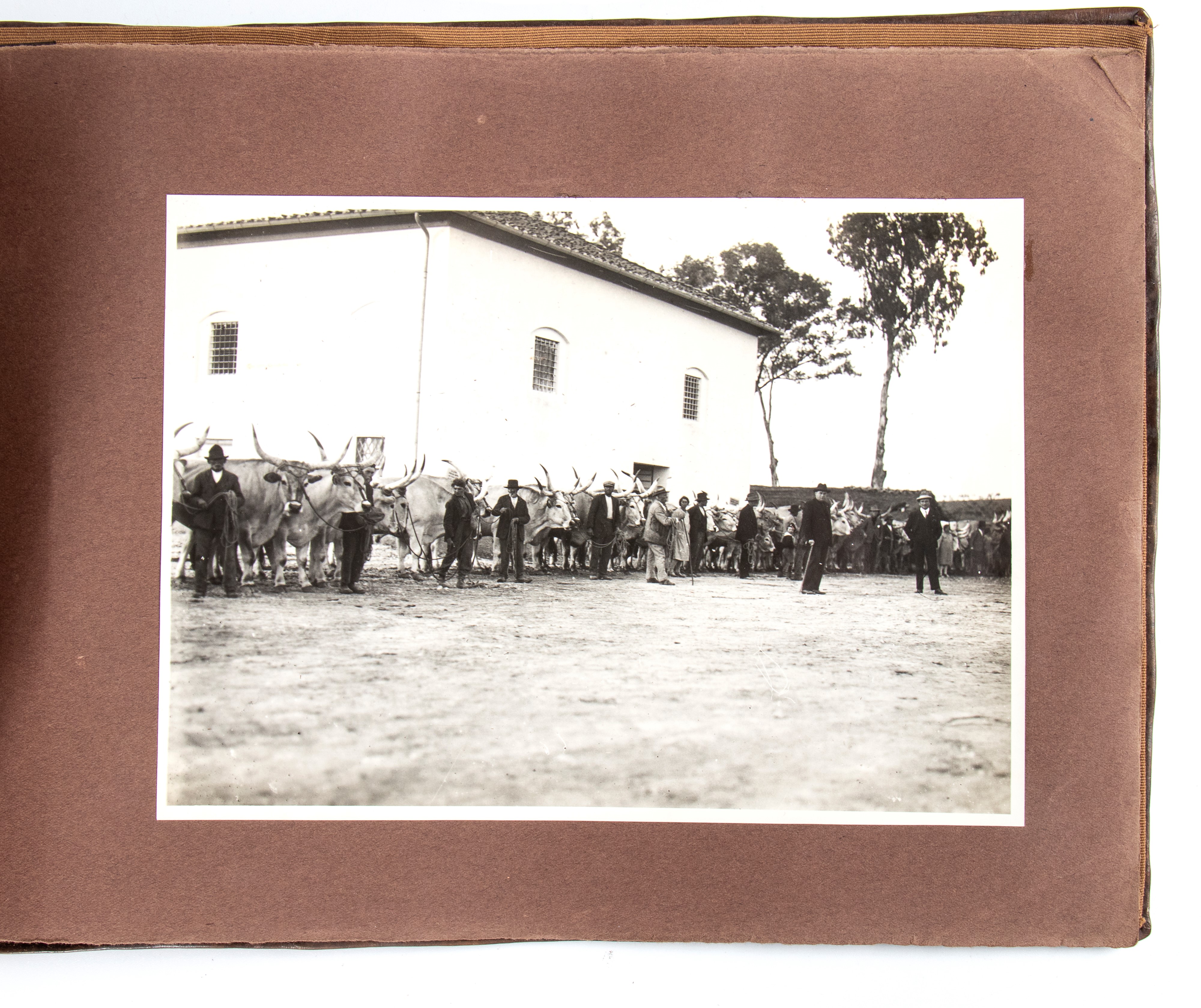 Album fotografico, Visita del Duce a Grosseto - 10 maggio 1930, pelle sigillata