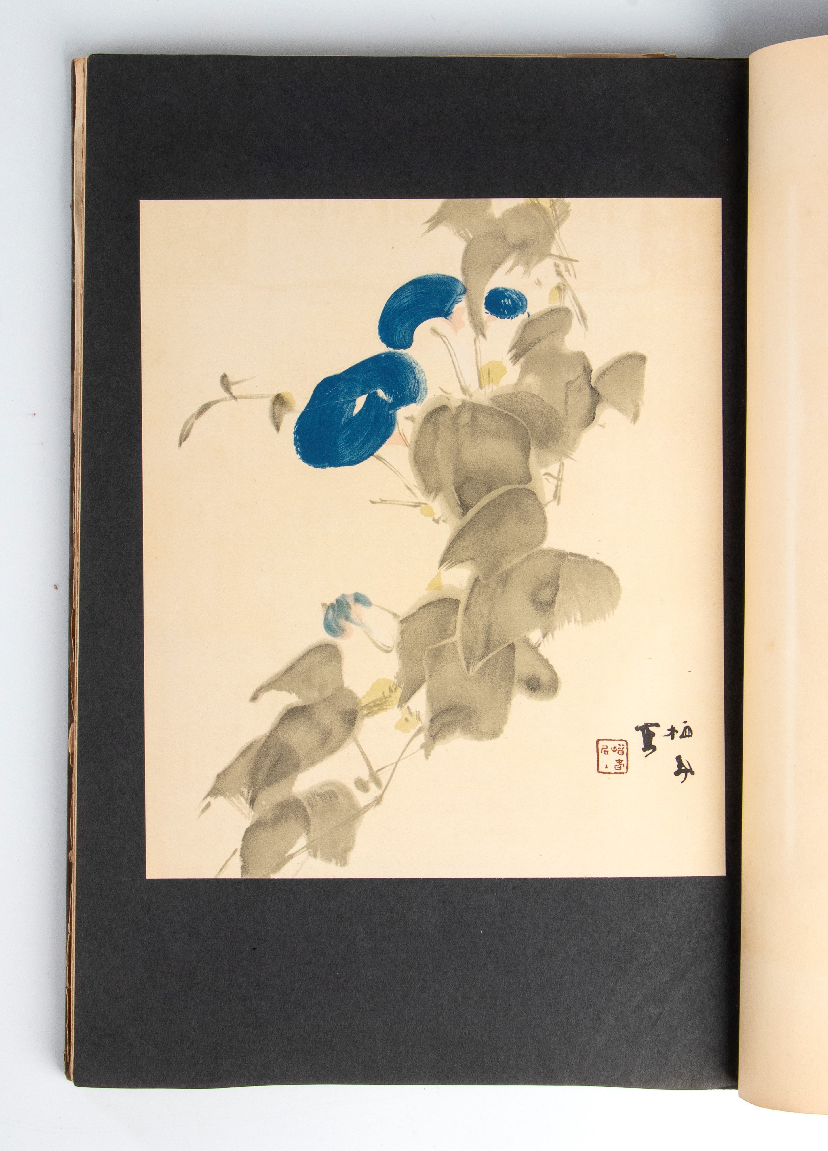 Raccolta di stampa e dipinti, Giappone