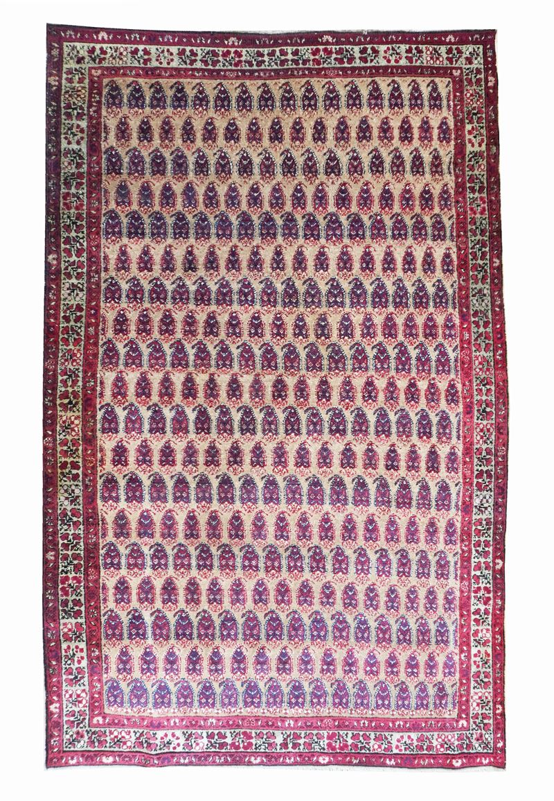 Tappeto Agra con “Boteh”