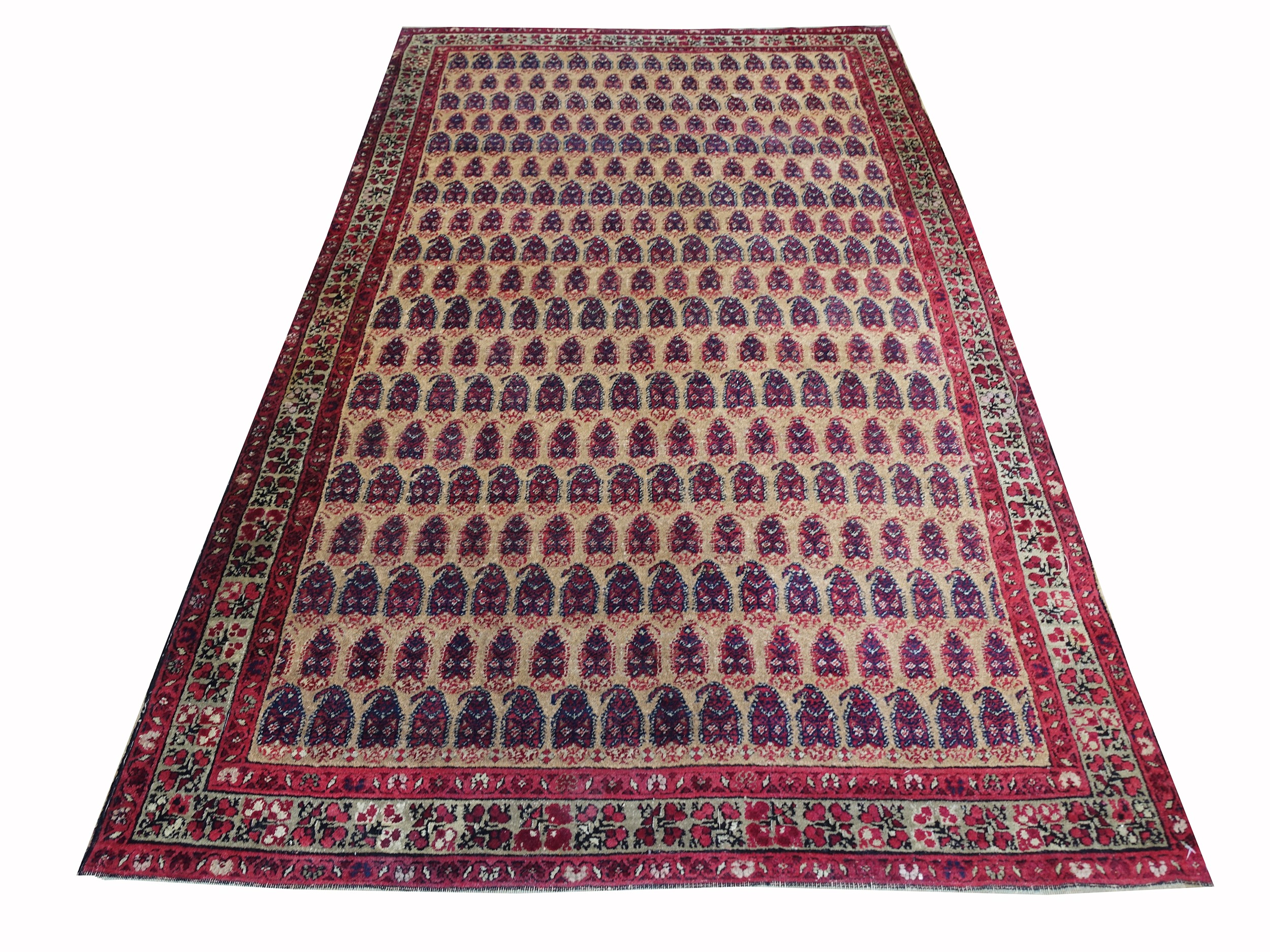 Tappeto Agra con “Boteh”