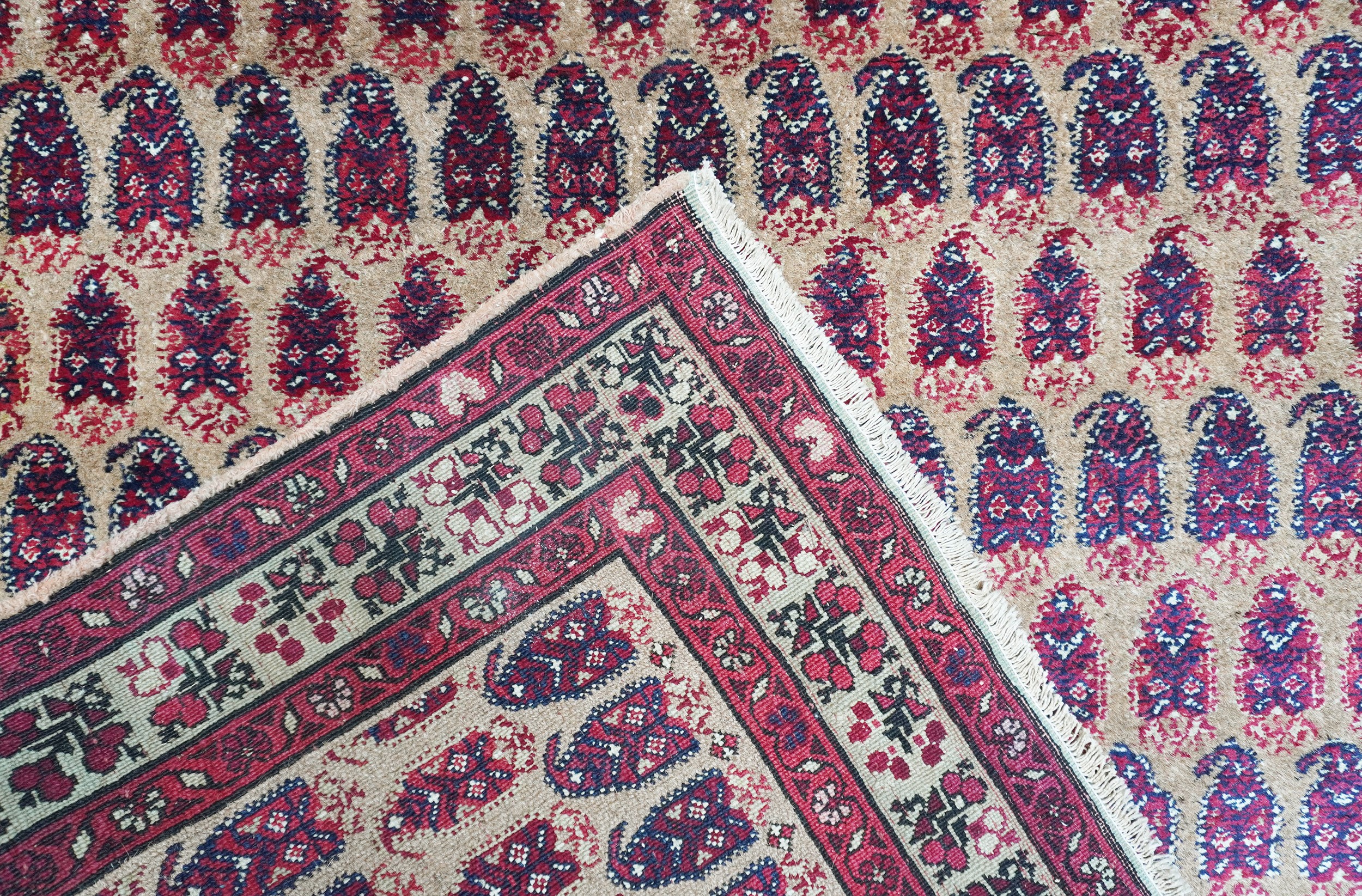 Tappeto Agra con “Boteh”