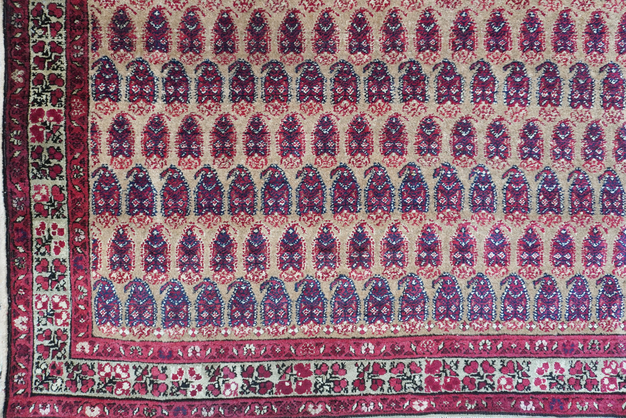 Tappeto Agra con “Boteh”