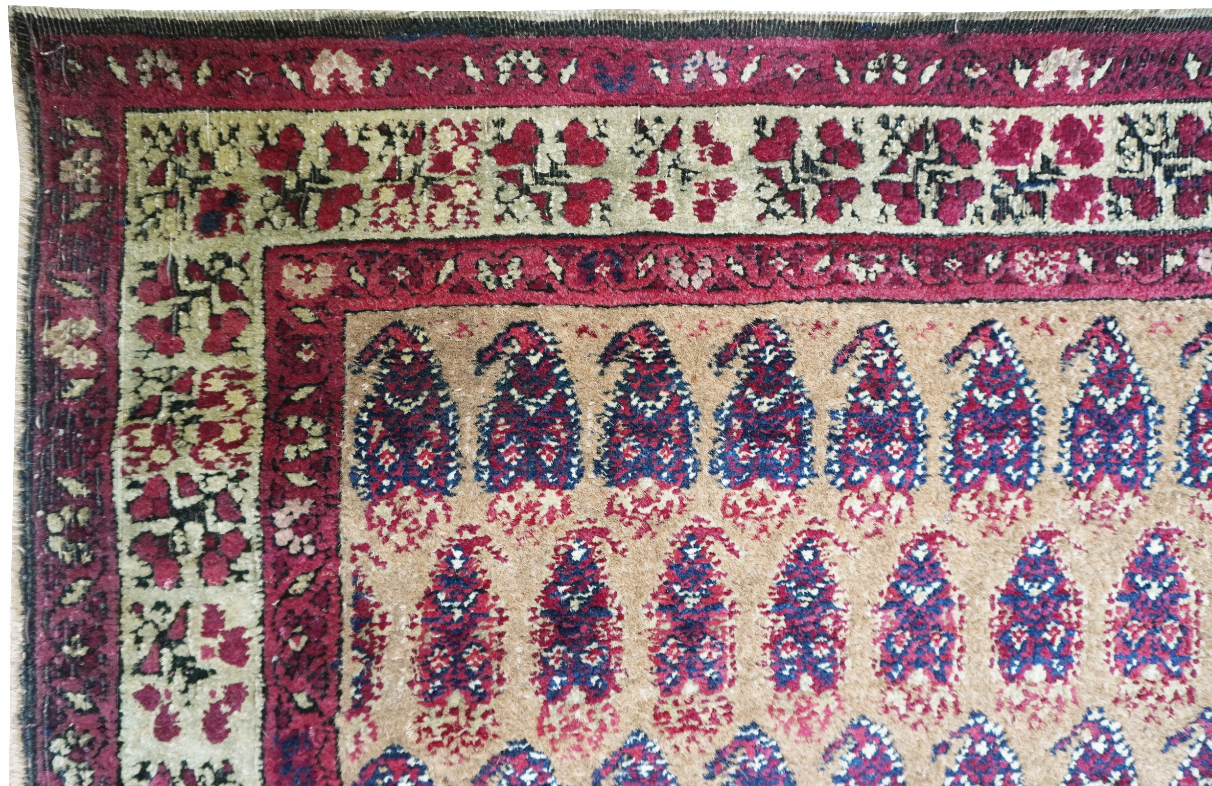 Tappeto Agra con “Boteh”