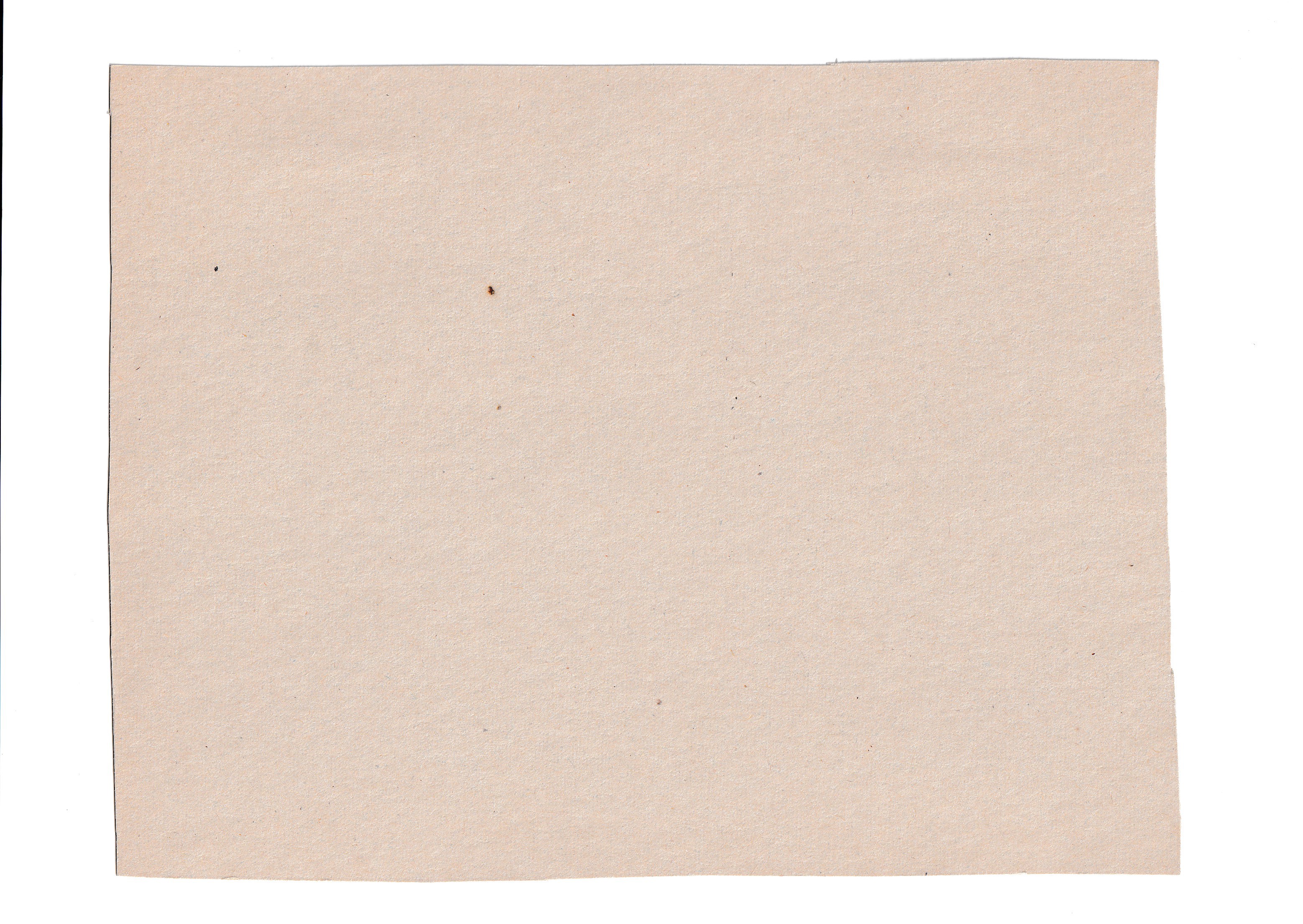 Historia del Testamento Vecchio dipinta in Roma da Raffaello