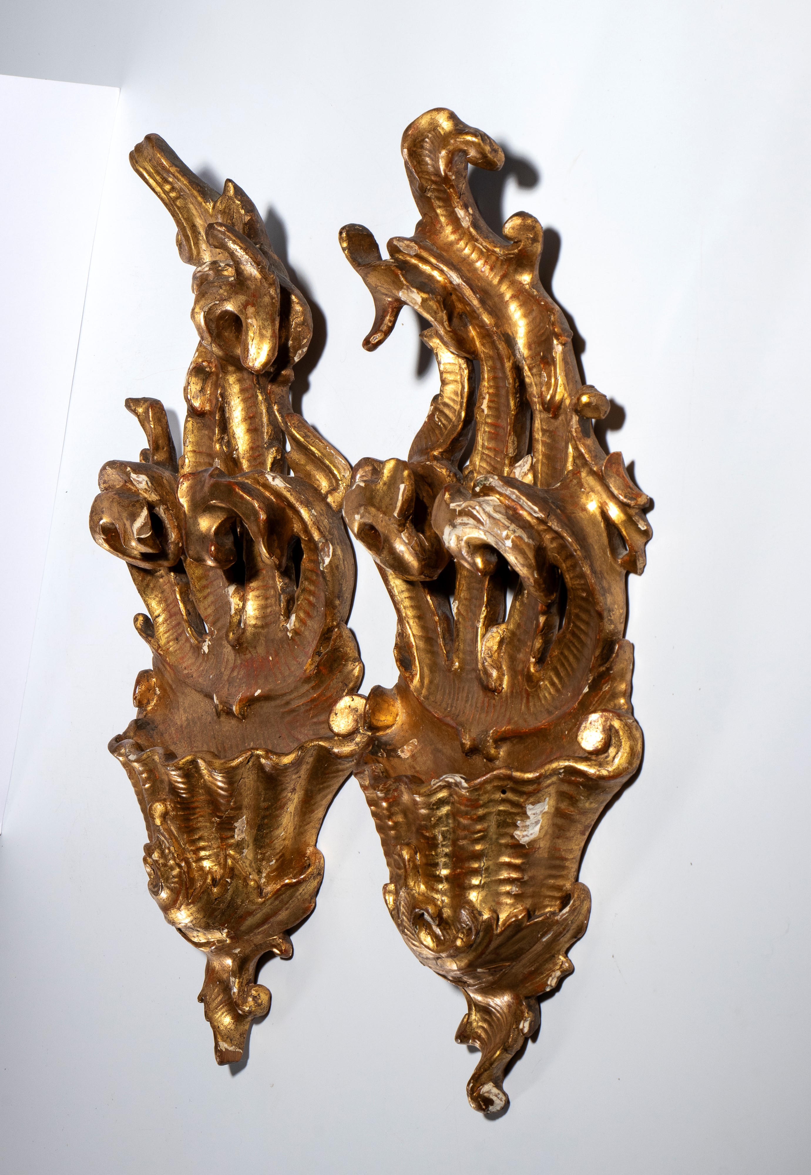 Coppia di acquasantiere da parete in legno dorato Luigi XVI