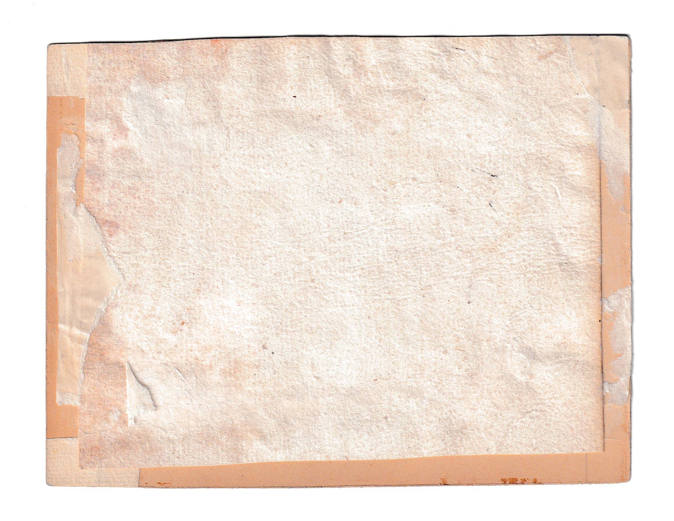 Varii studi di teste