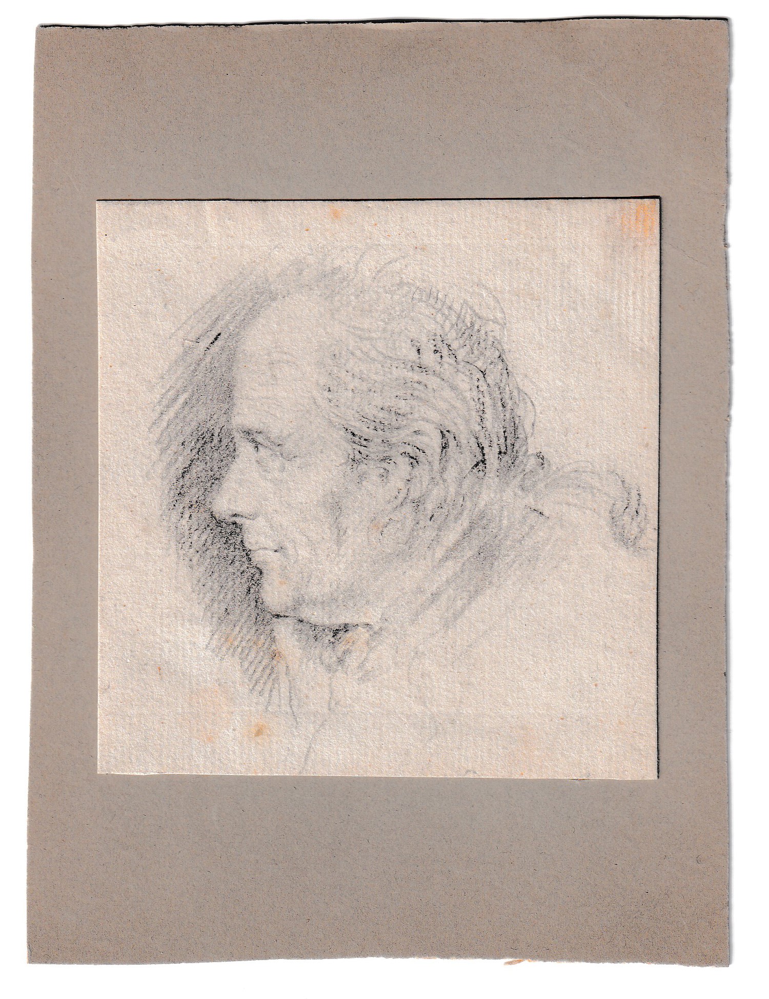 Varii studi di teste