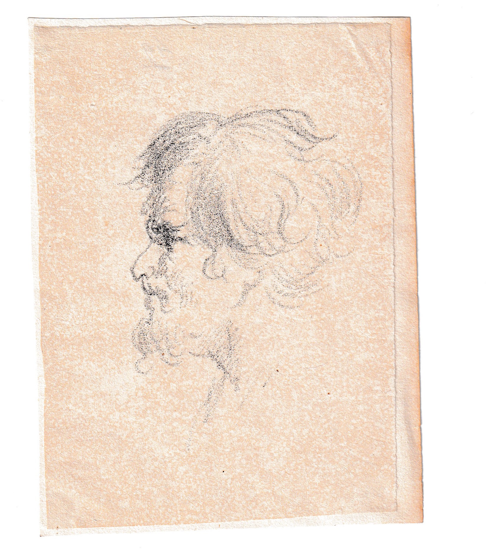 Varii studi di teste