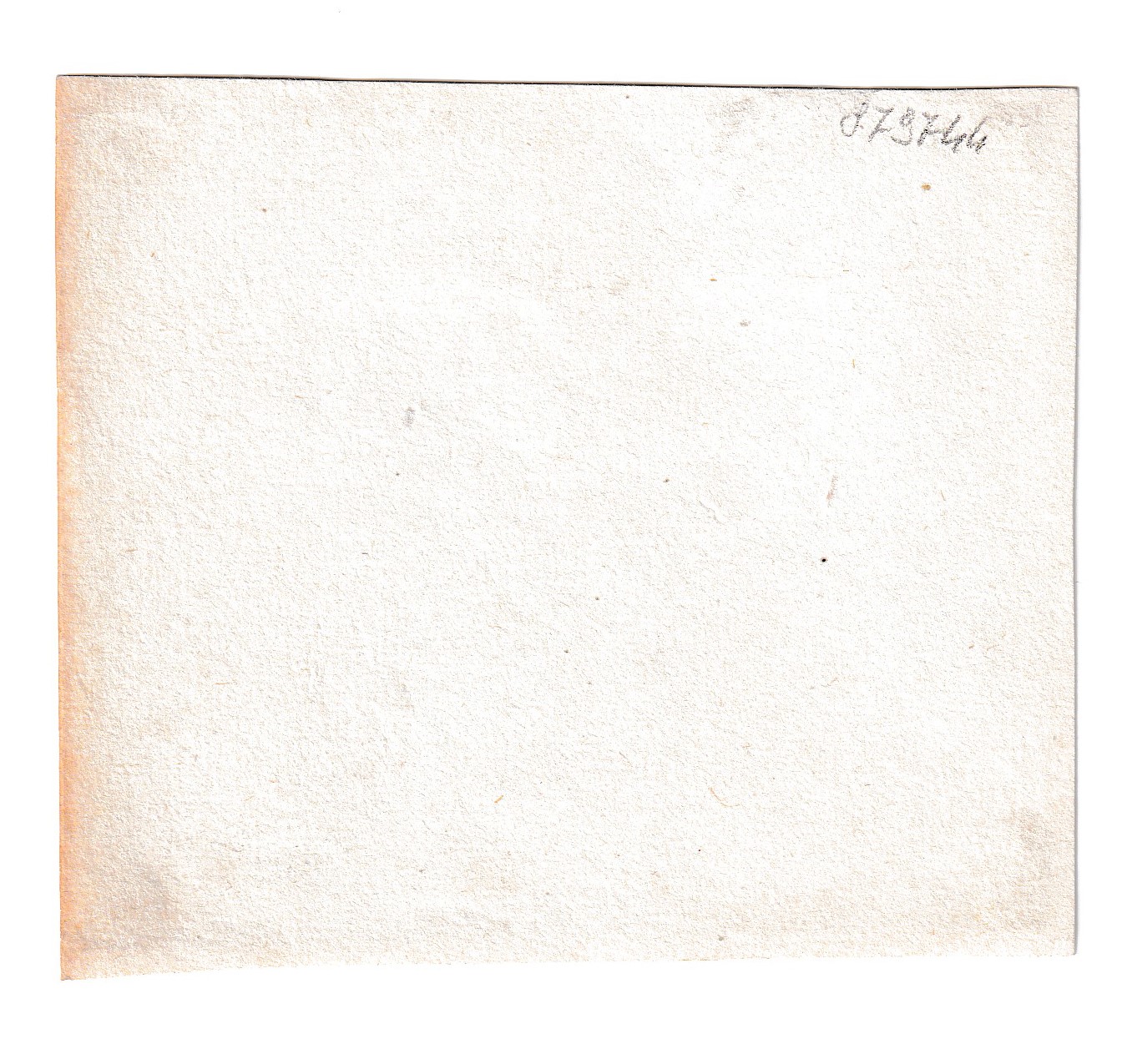 Varii studi di teste