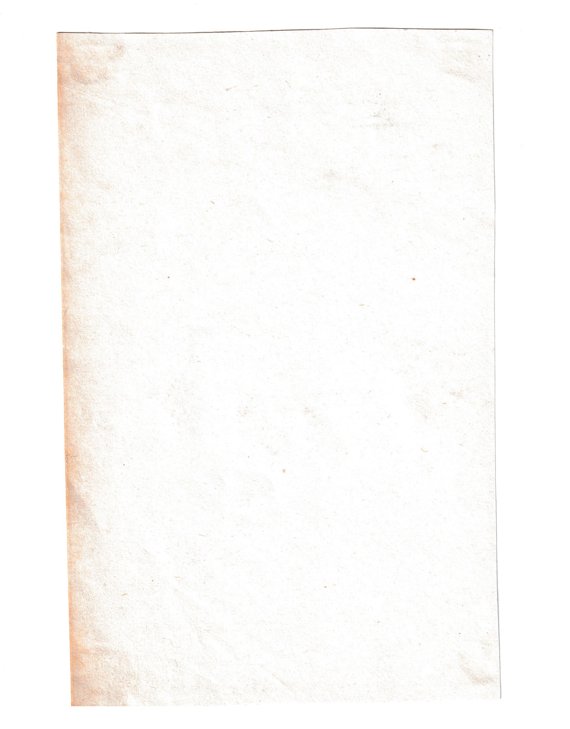 Varii studi di teste