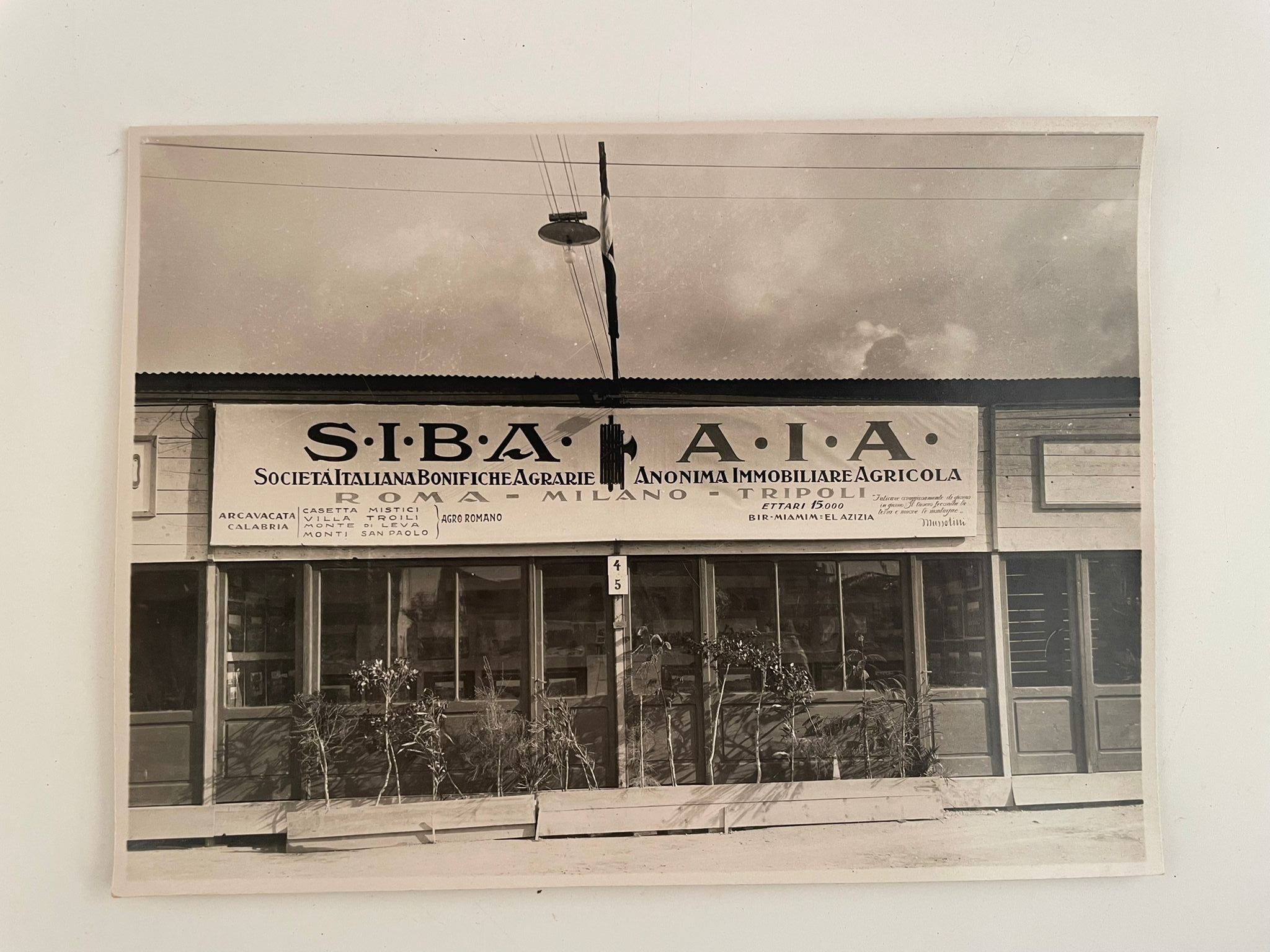 Lotto di fotografie di Benito Mussolini