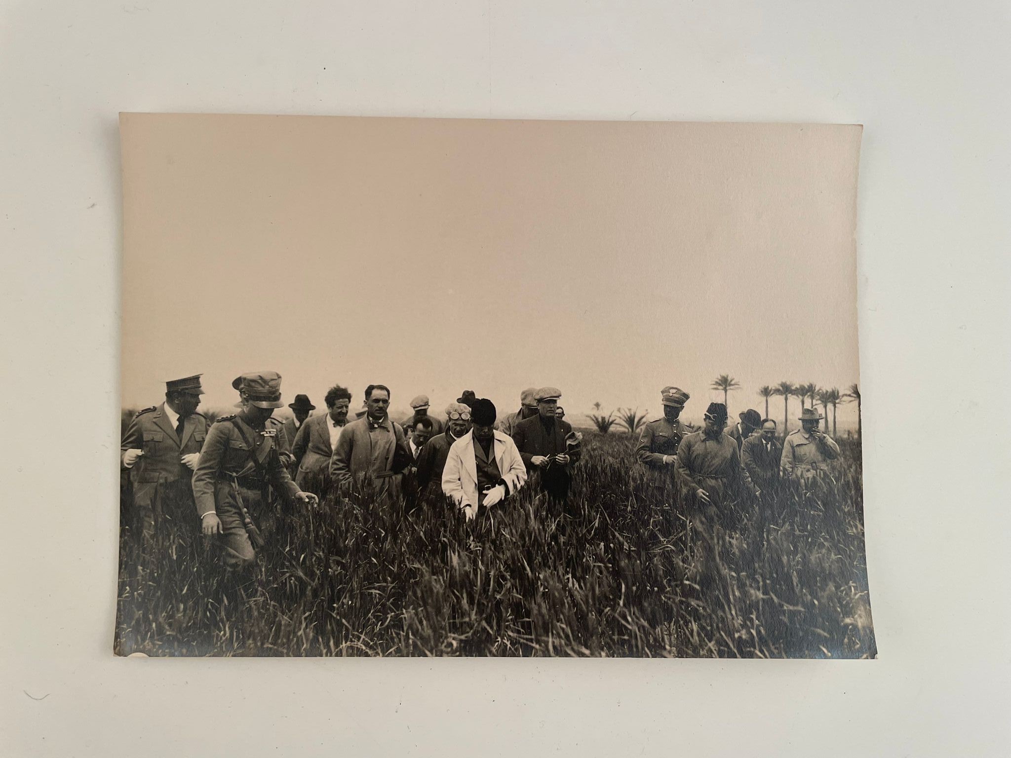 Lotto di fotografie di Benito Mussolini