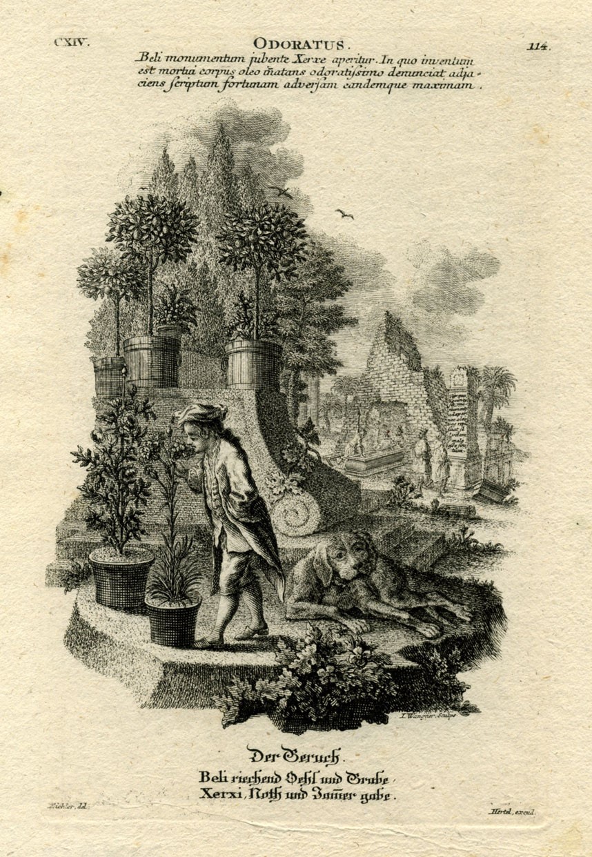 Jeremias Wachsmuth - Allegorie dei Cinque Sensi, acquaforte