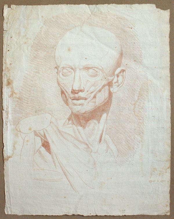 Tête d'Écorché (Lo scorticato)