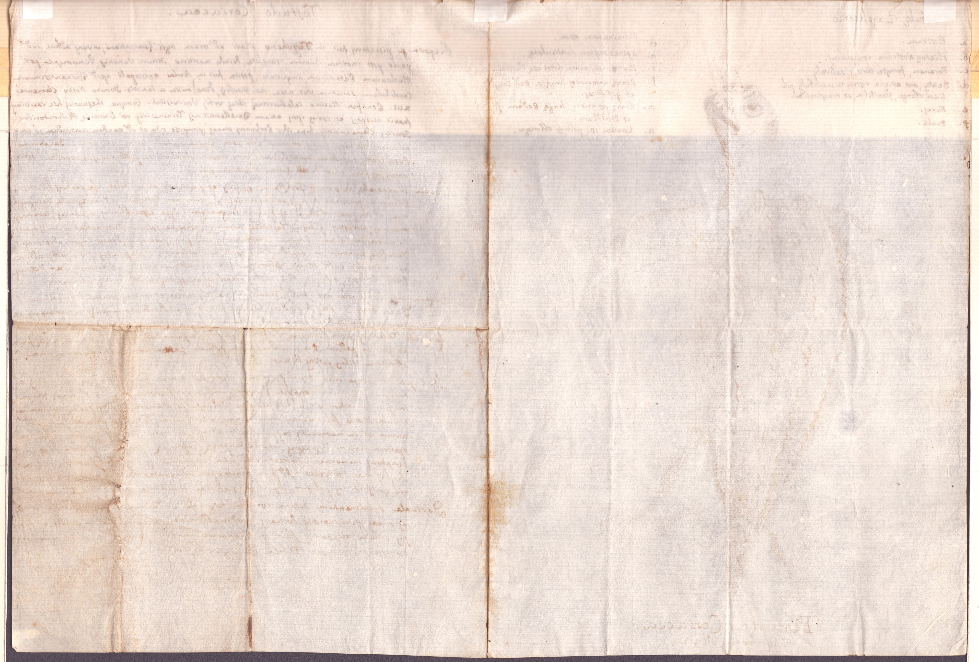 Studio di Testudo Coriacea