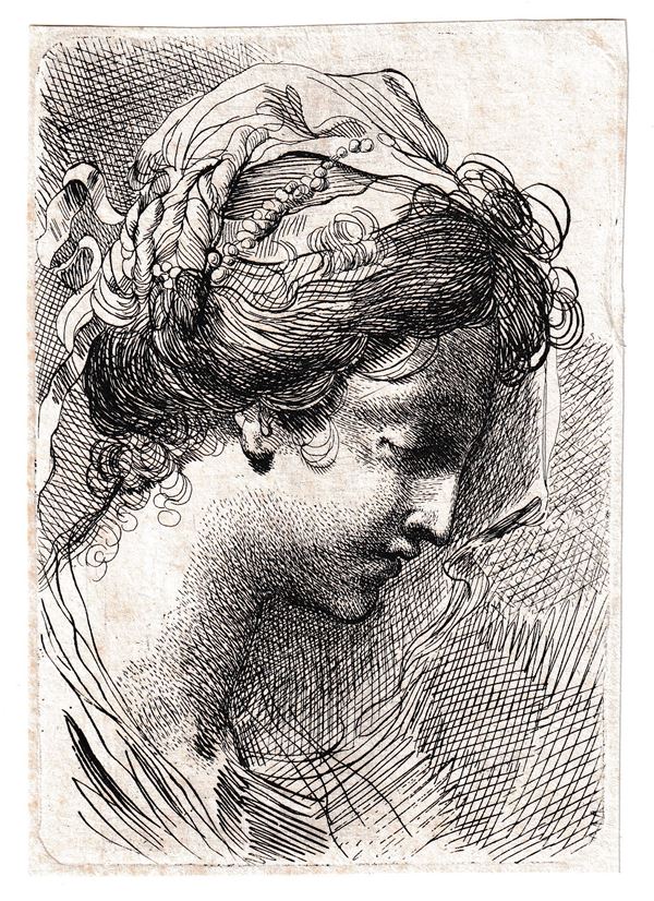 Testa di una donna di profilo