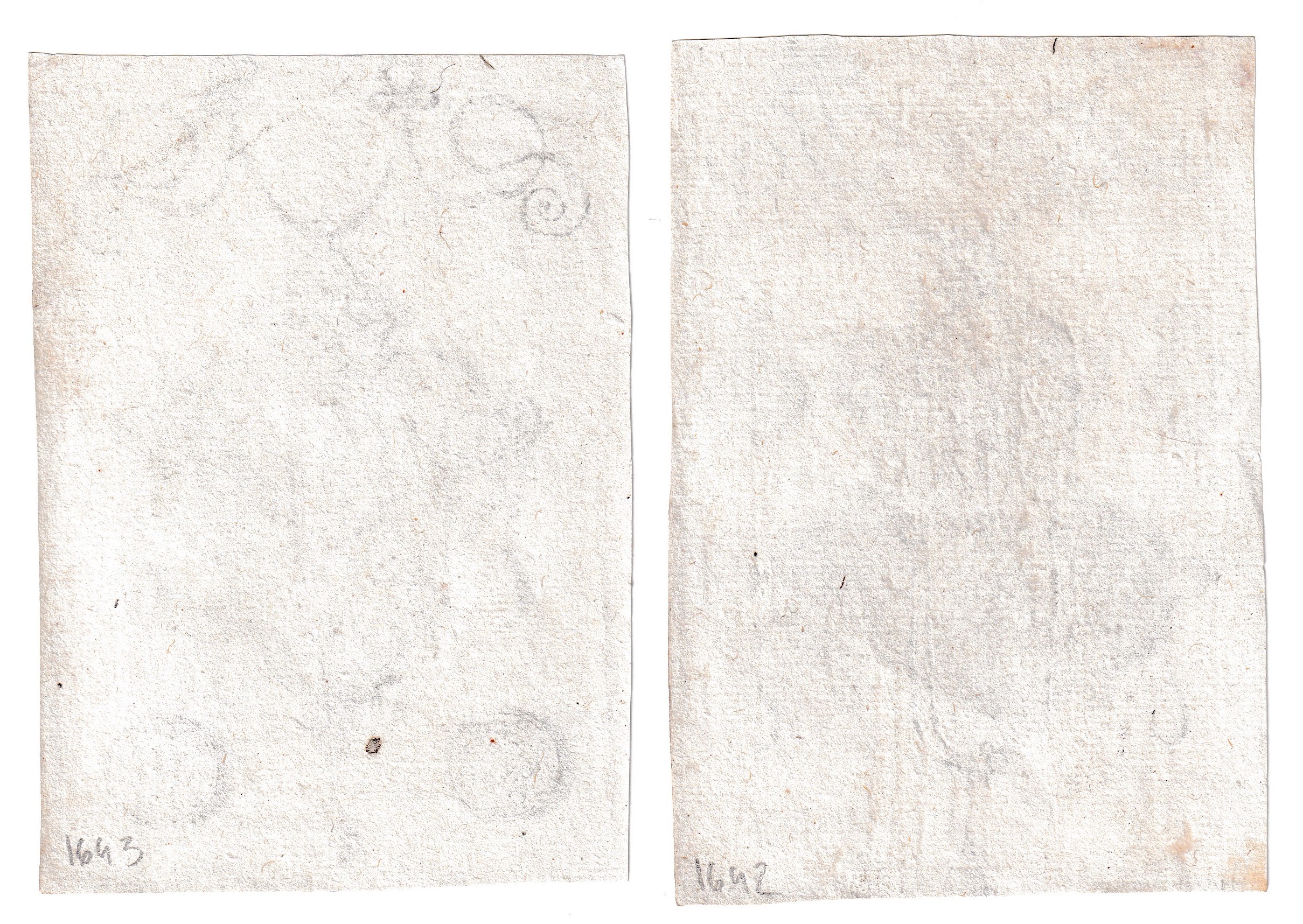 Pendenti con divinità in nicchie e arabeschi floreali