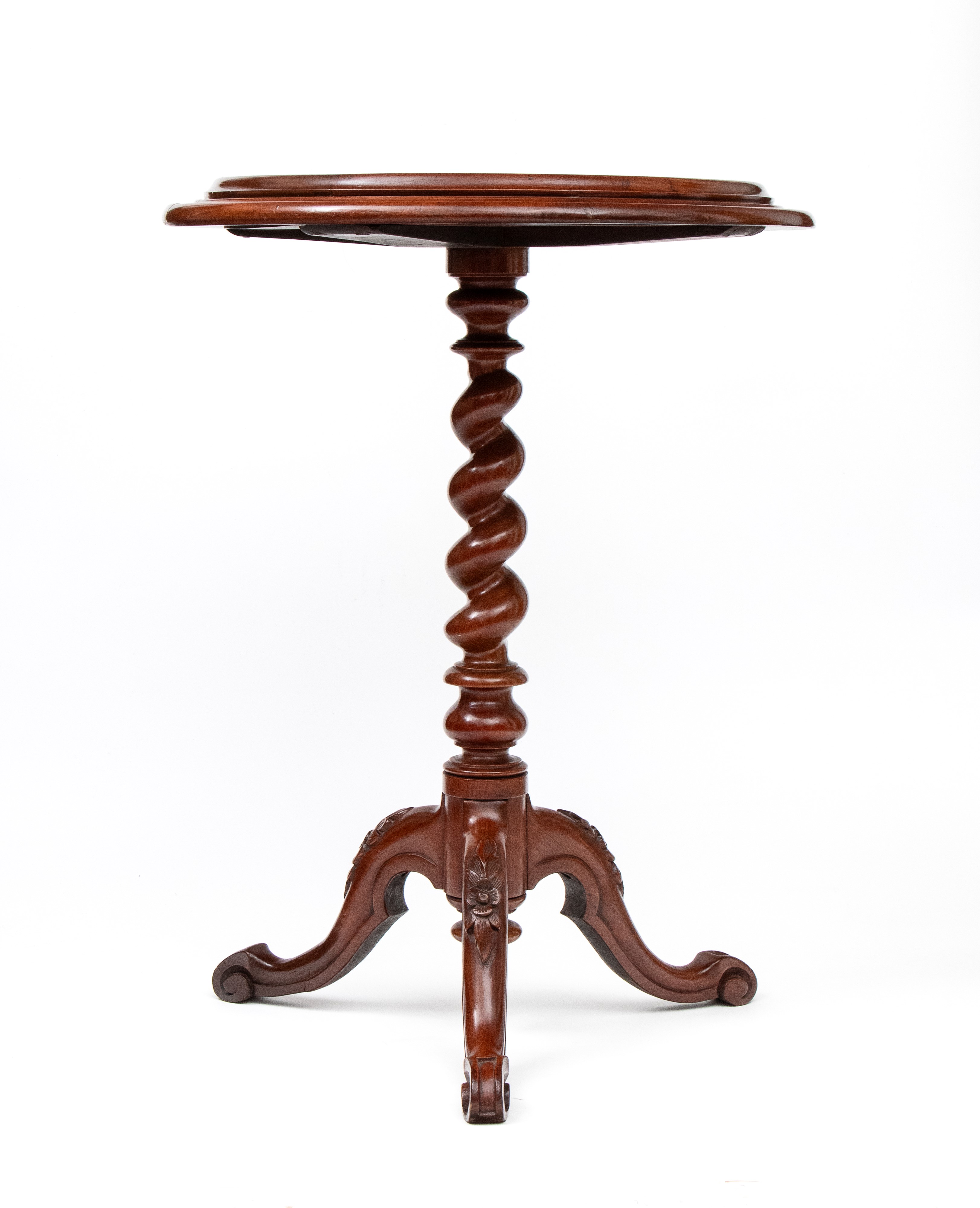 Tavolino con piano in ammoniti fossili