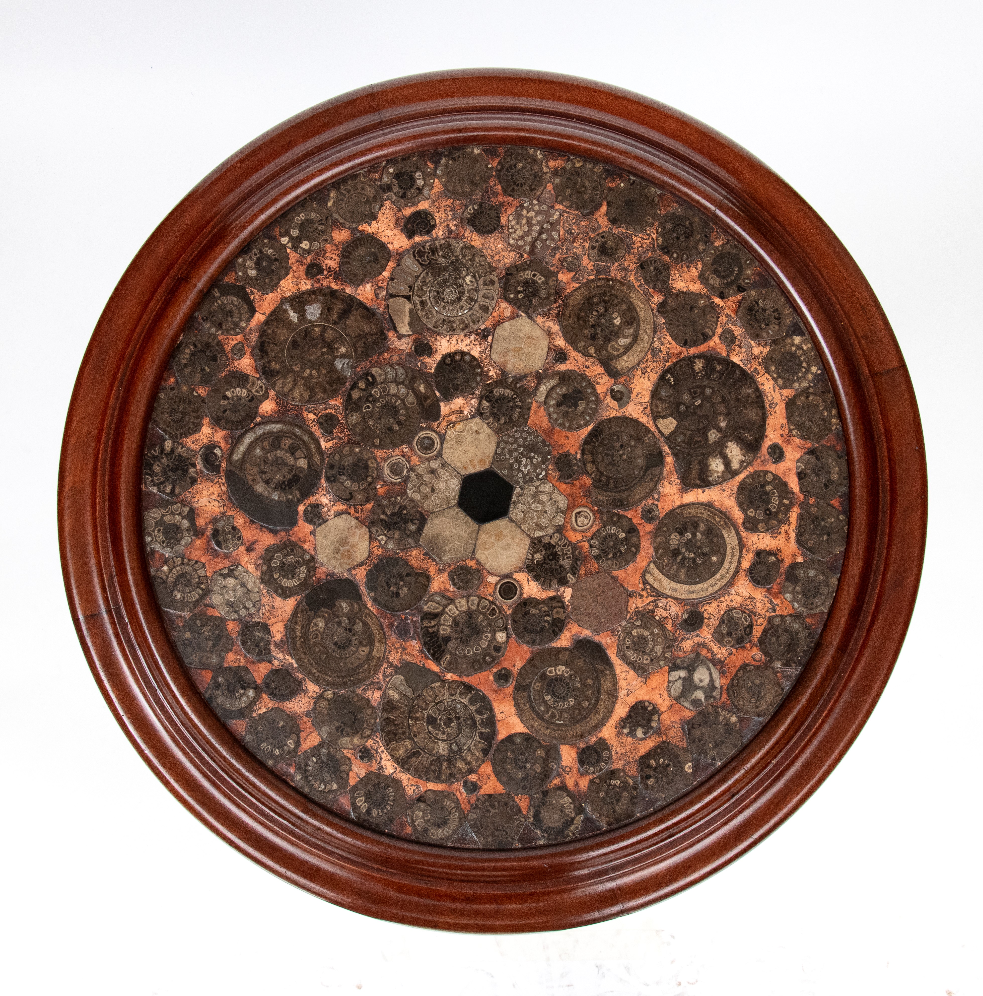 Tavolino con piano in ammoniti fossili