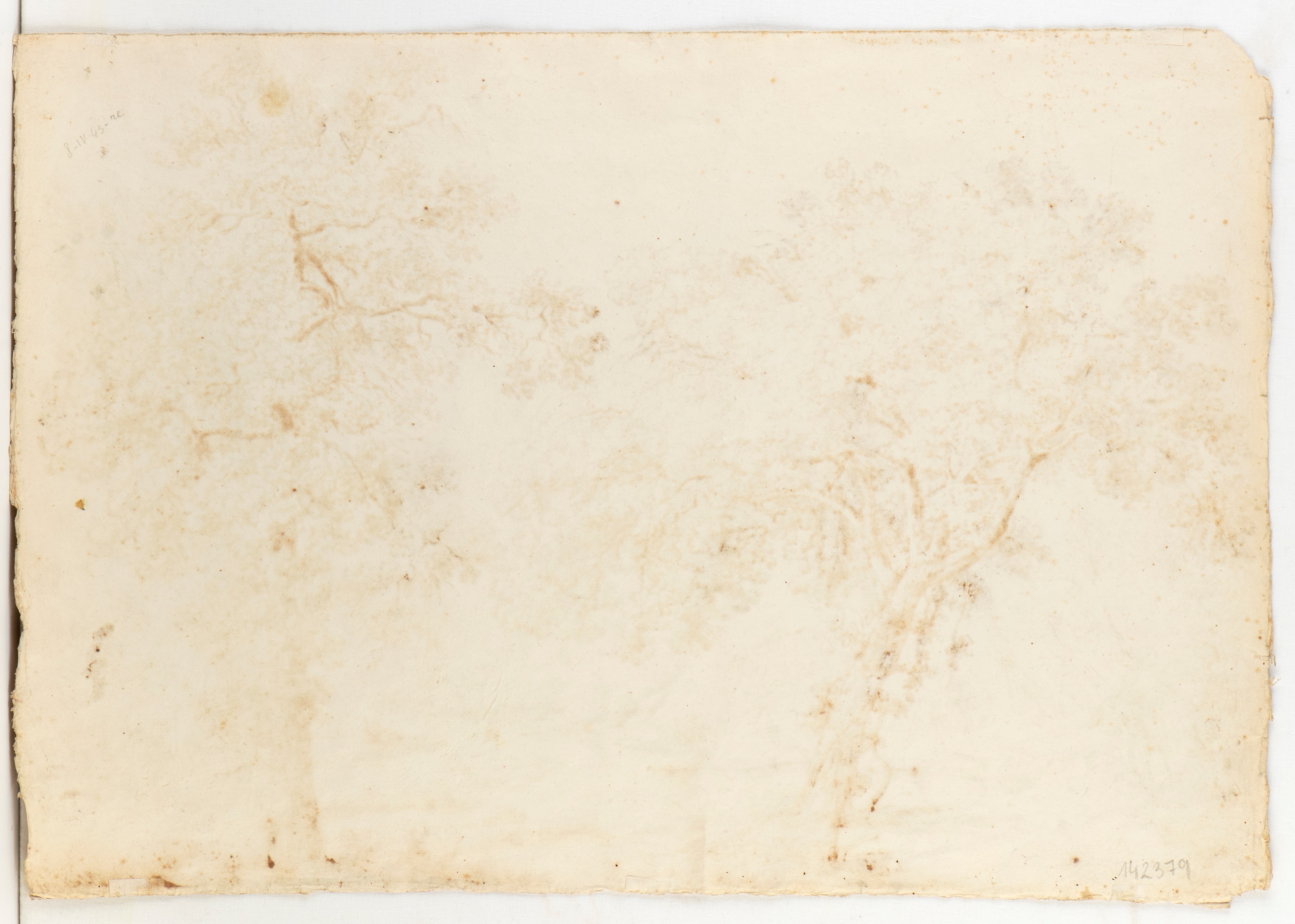 Paesaggio con alberi