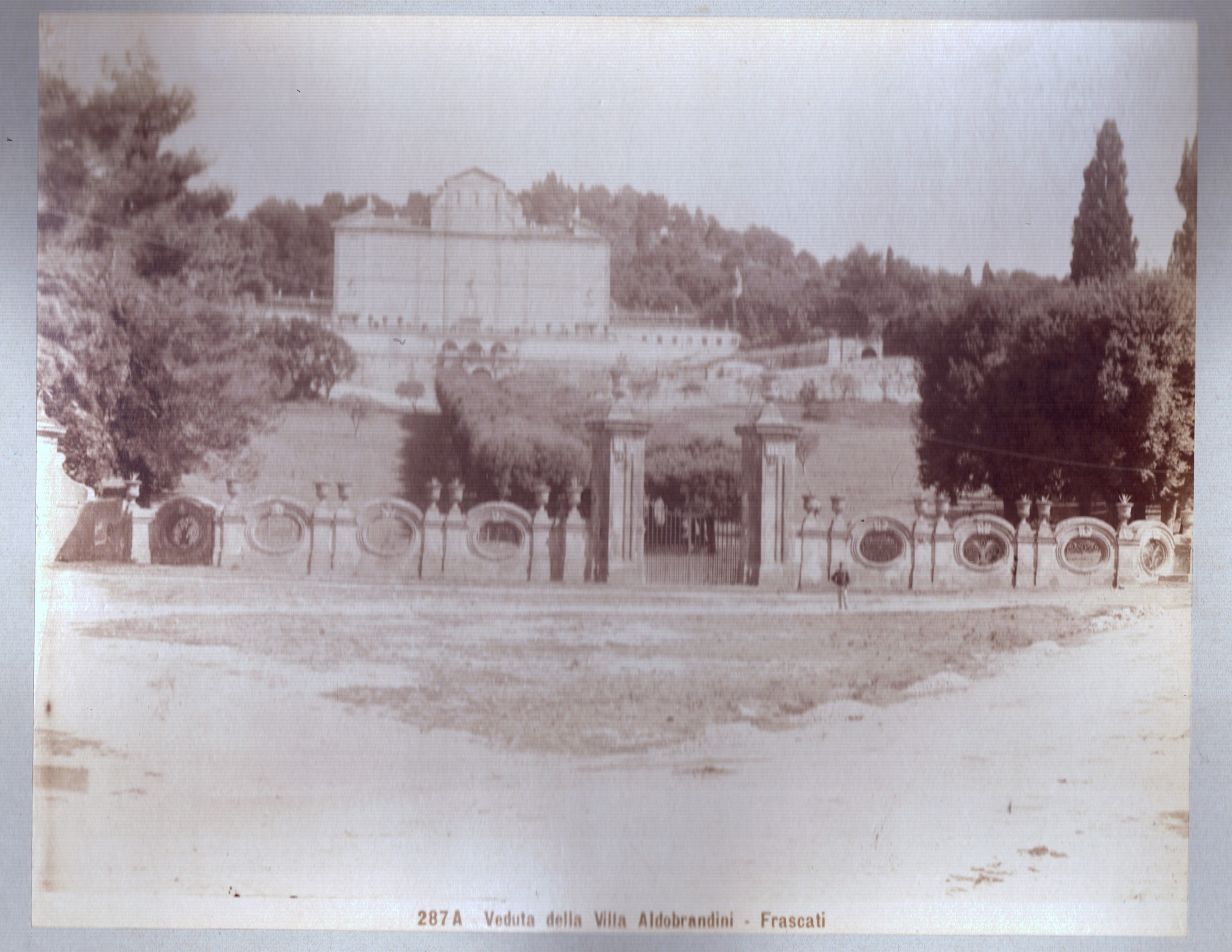 Moscioni, Frascati, studio fotografico, albumina