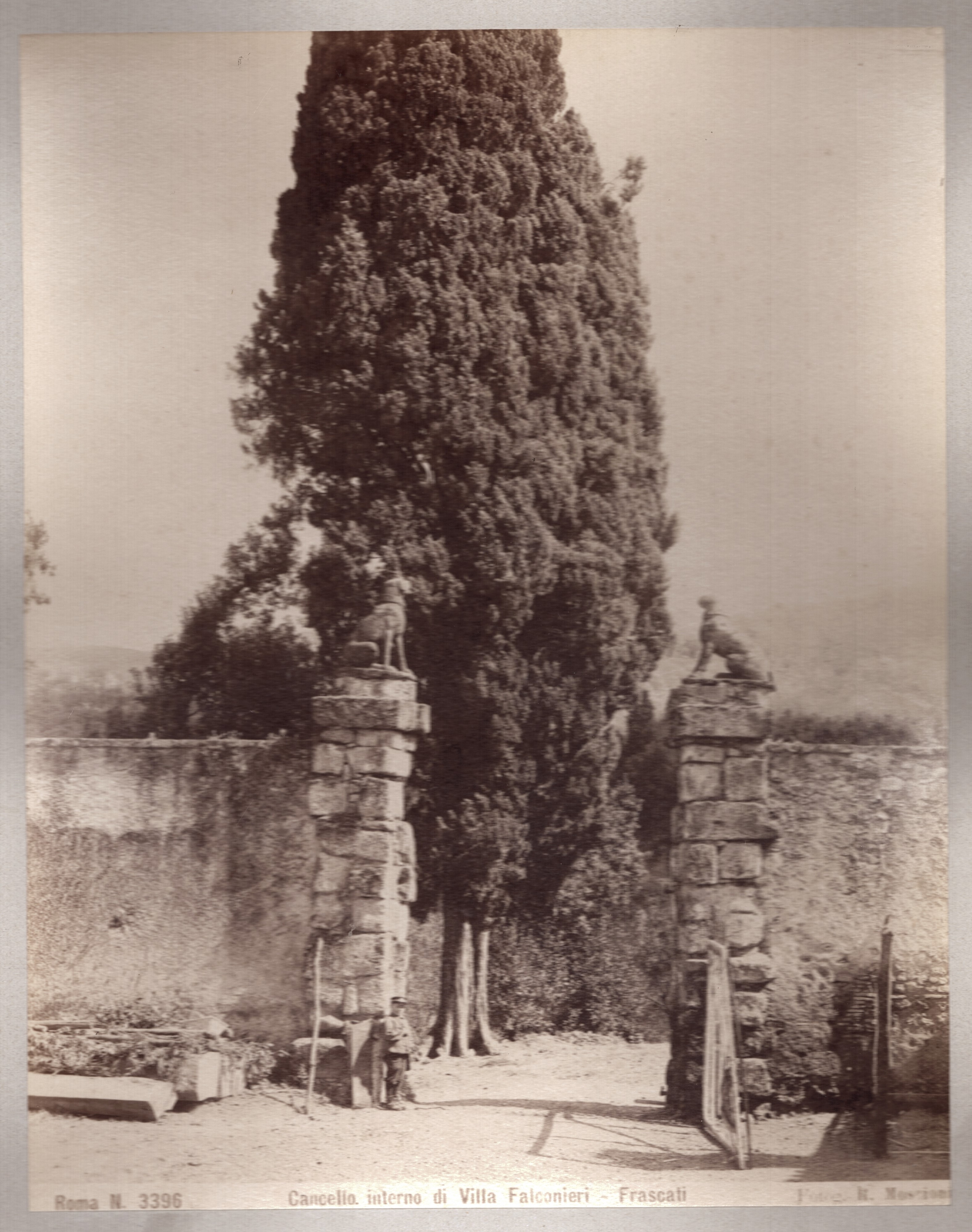 Moscioni, Frascati, studio fotografico, albumina