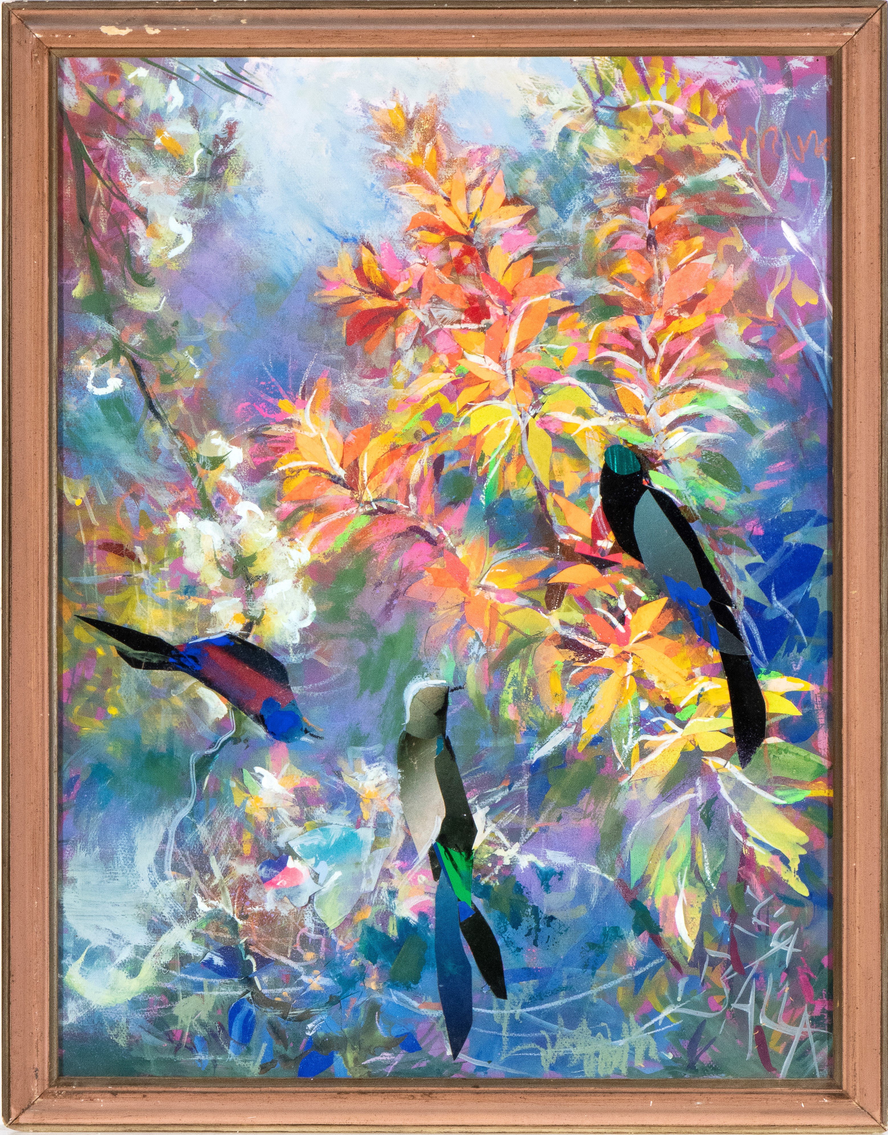Paradisi perduti, cinguettio di colori