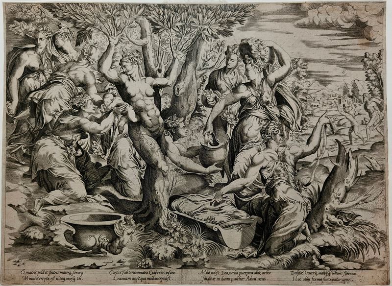 La nascita di Adone, da Francesco Salviati