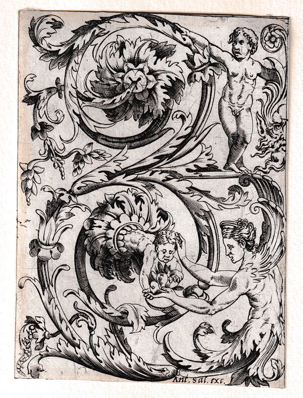 Marcantonio Raimondi - Grottesca vegetale a forma di S rovesciata, da Giovanni da Udine?