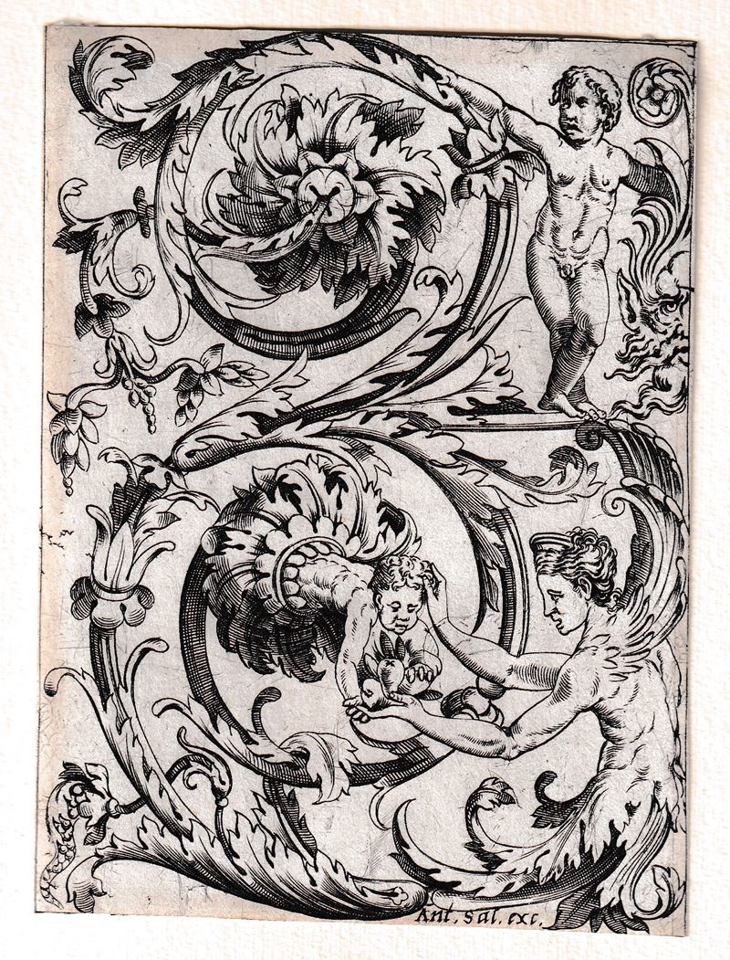 Grottesca vegetale a forma di S rovesciata, da Giovanni da Udine?