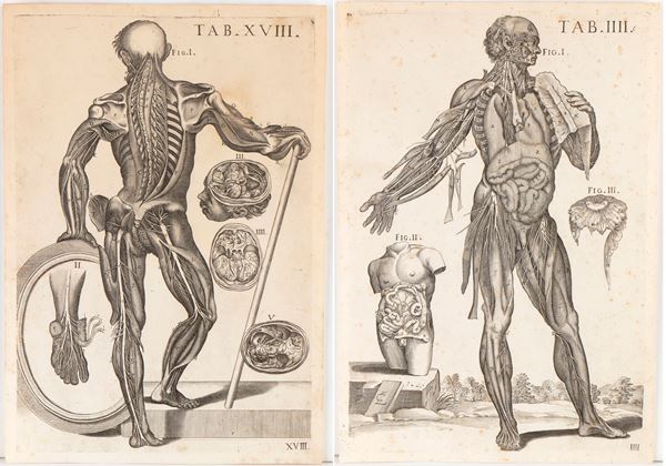Pietro Berrettini detto Pietro da Cortona - Tabulae anatomicae. Tav. IIII e Tav. XVIII