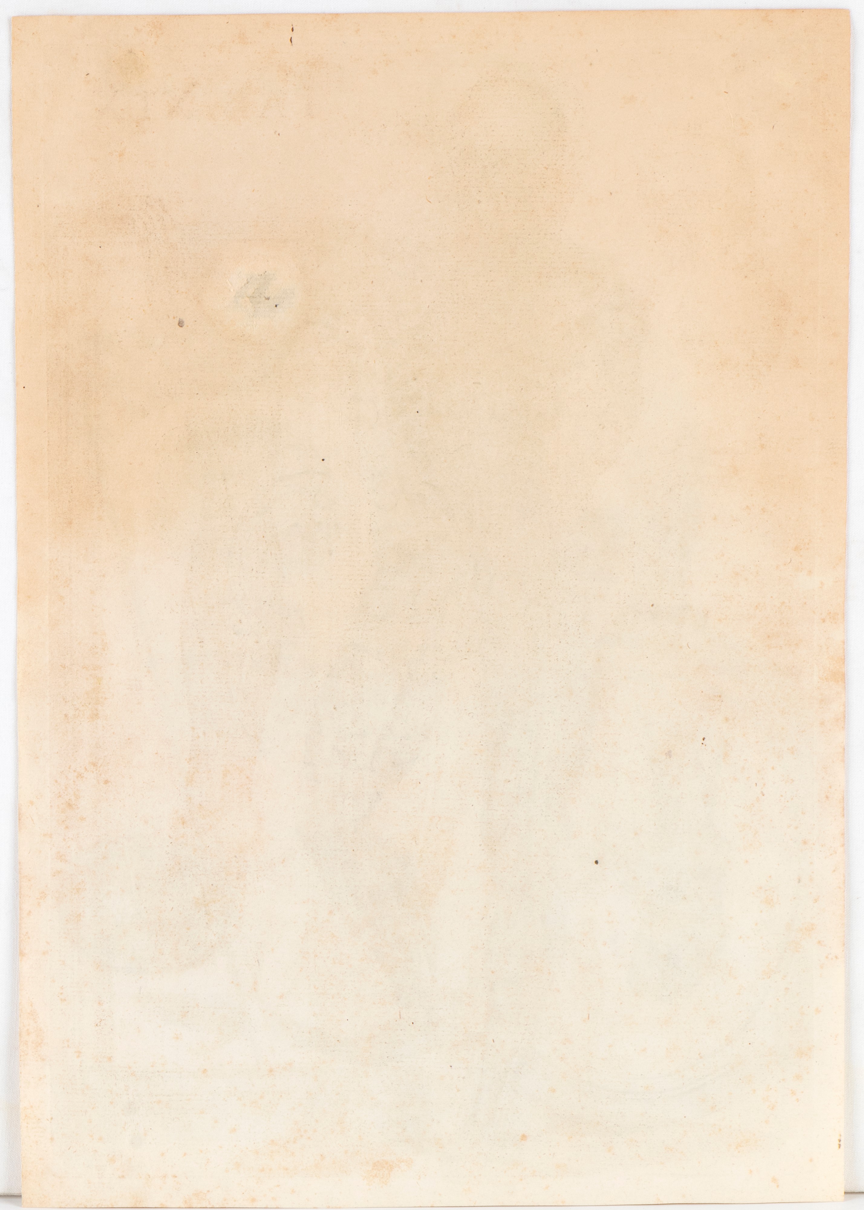 Tabulae anatomicae. Tav. IIII e Tav. XVIII