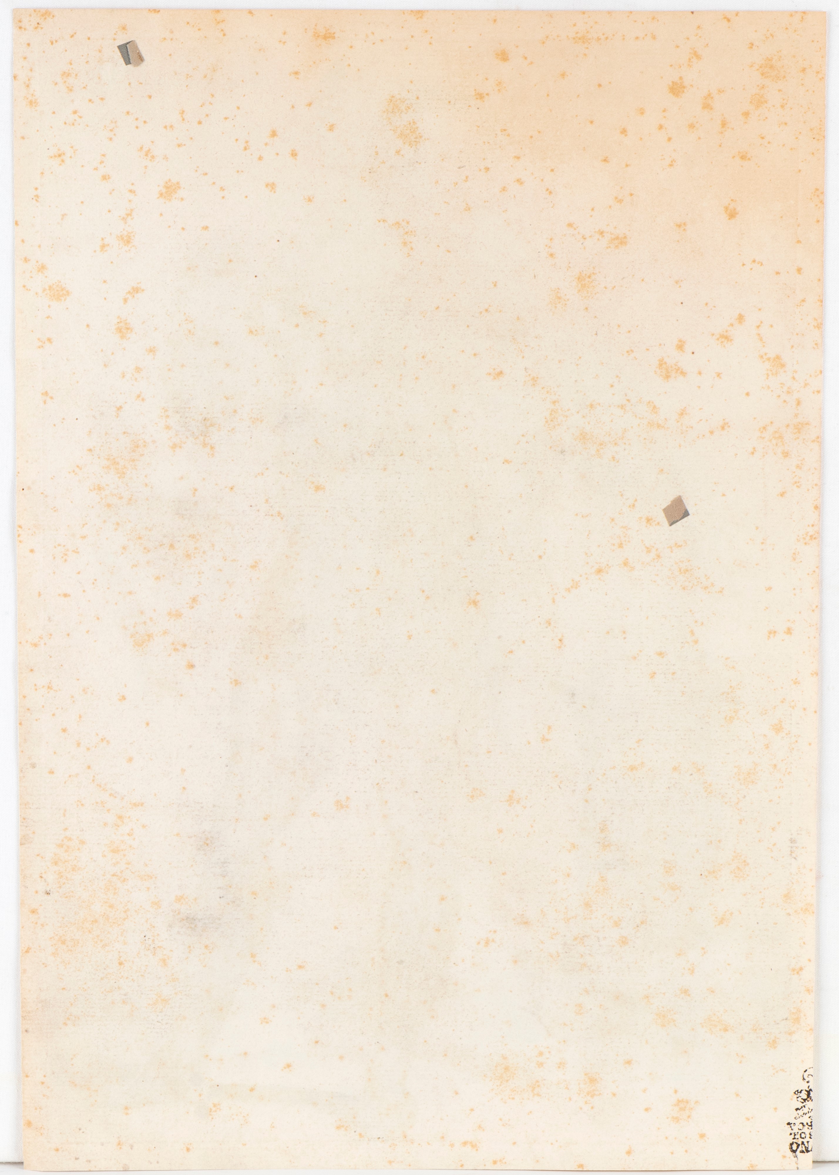 Tabulae anatomicae. Tav. IIII e Tav. XVIII