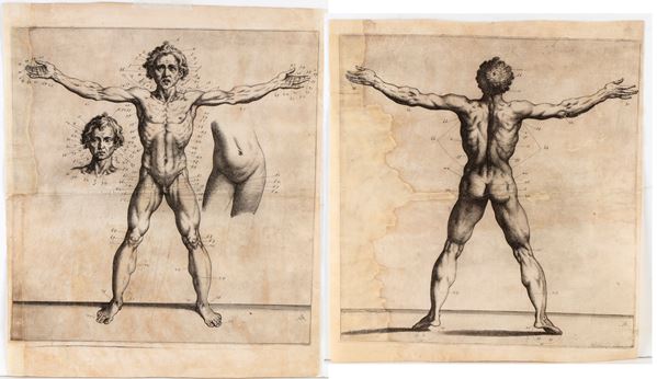 Raffaele Schiaminossi - Uomo vitruviano