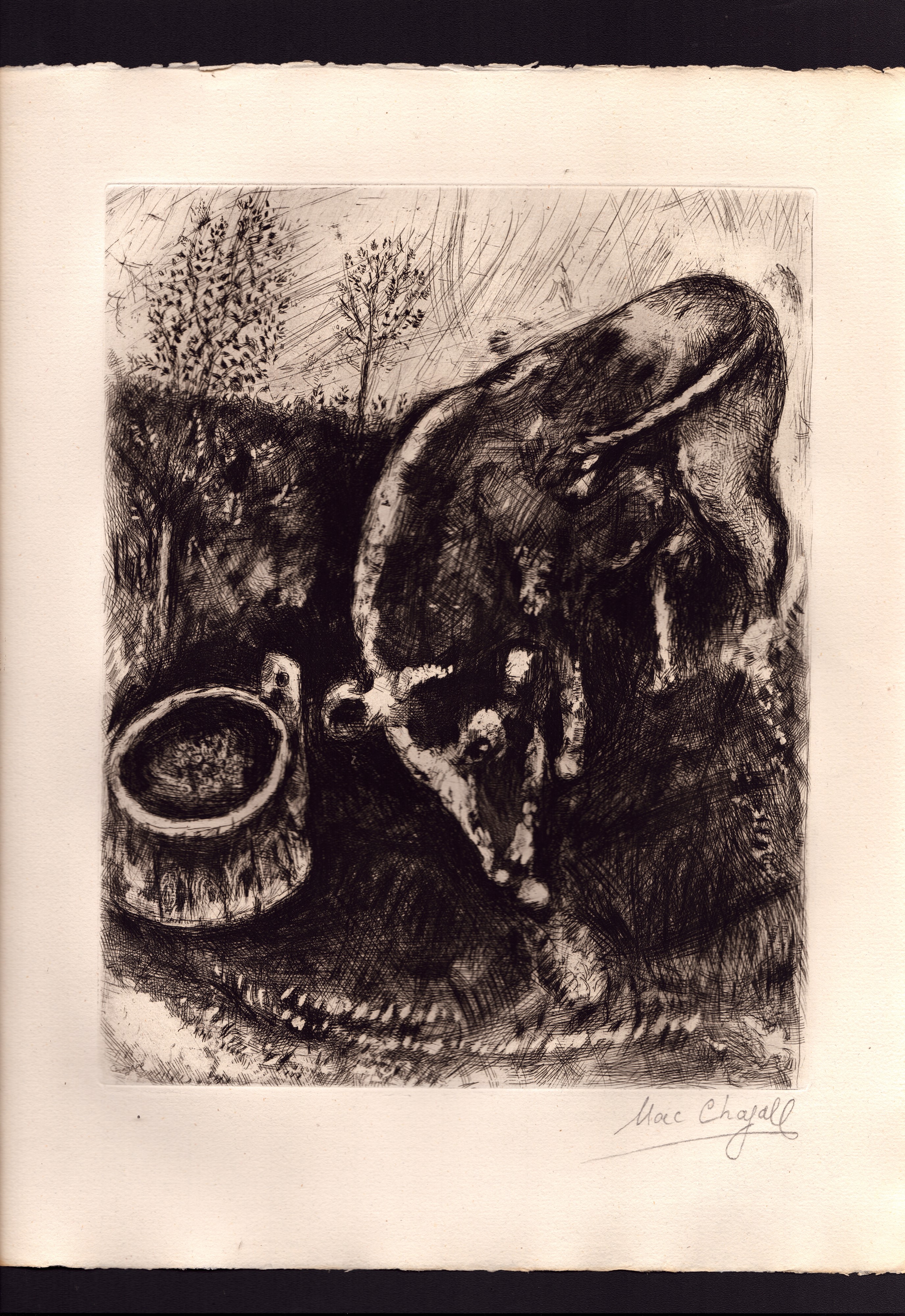 Marc Chagall - Les Fables - Lotto di 28 incisioni
