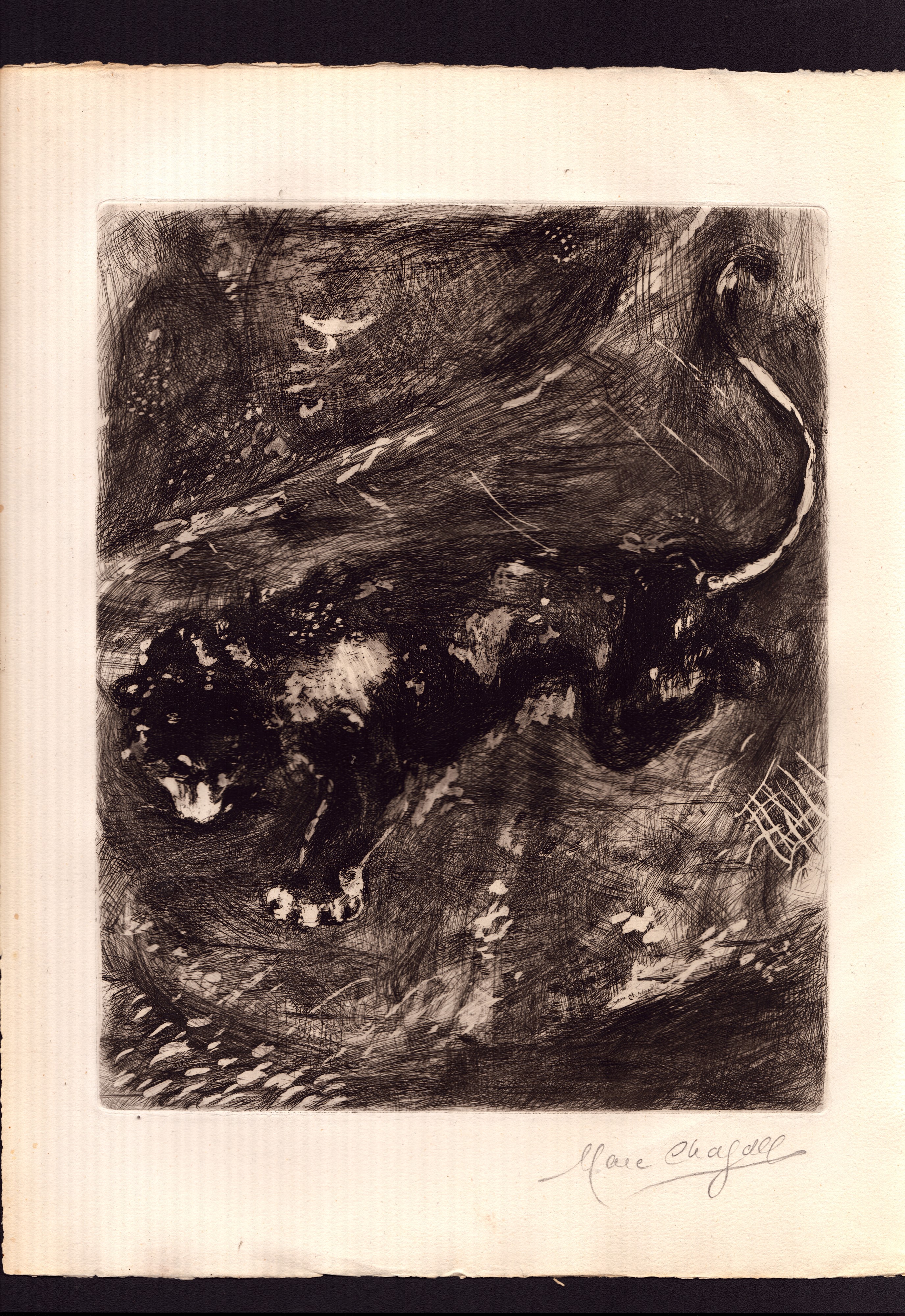 Marc Chagall - Les Fables - Lotto di 28 incisioni