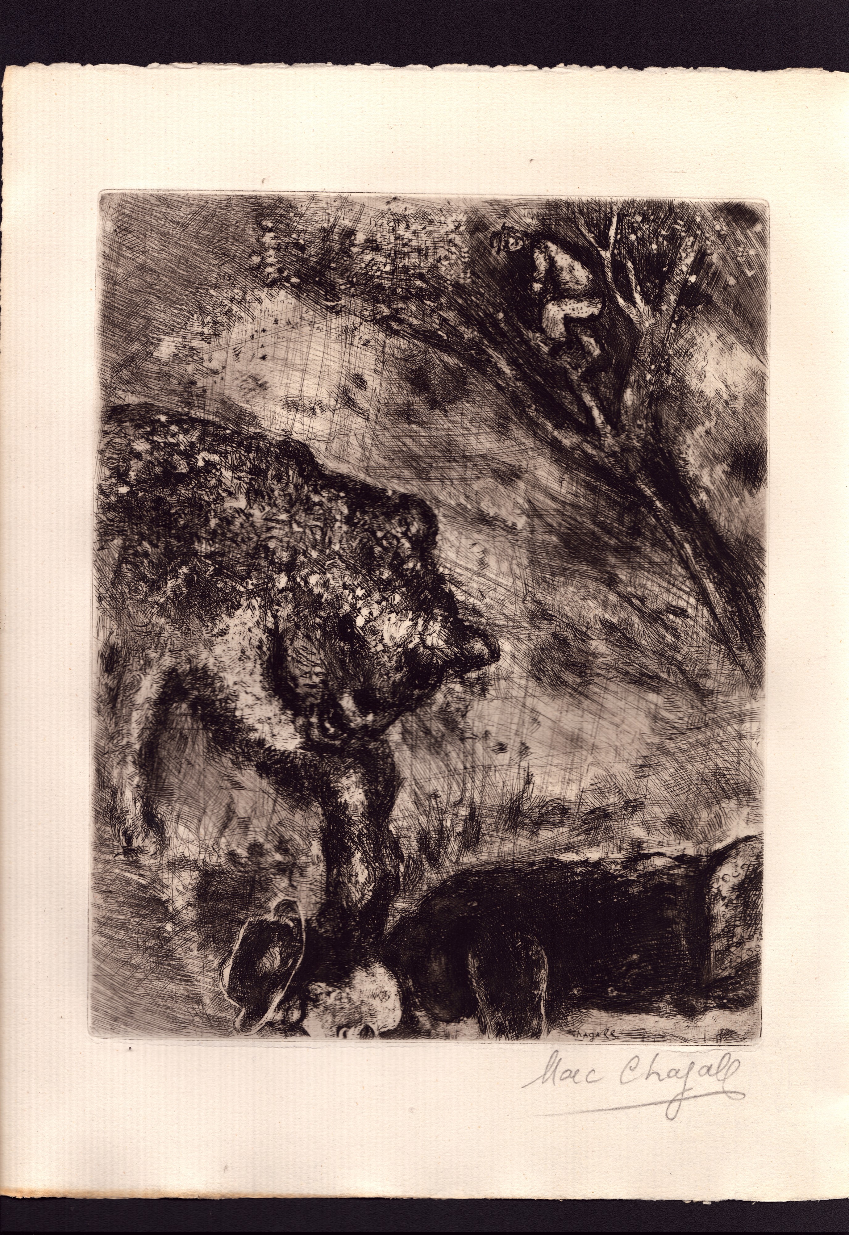 Marc Chagall - Les Fables - Lotto di 28 incisioni