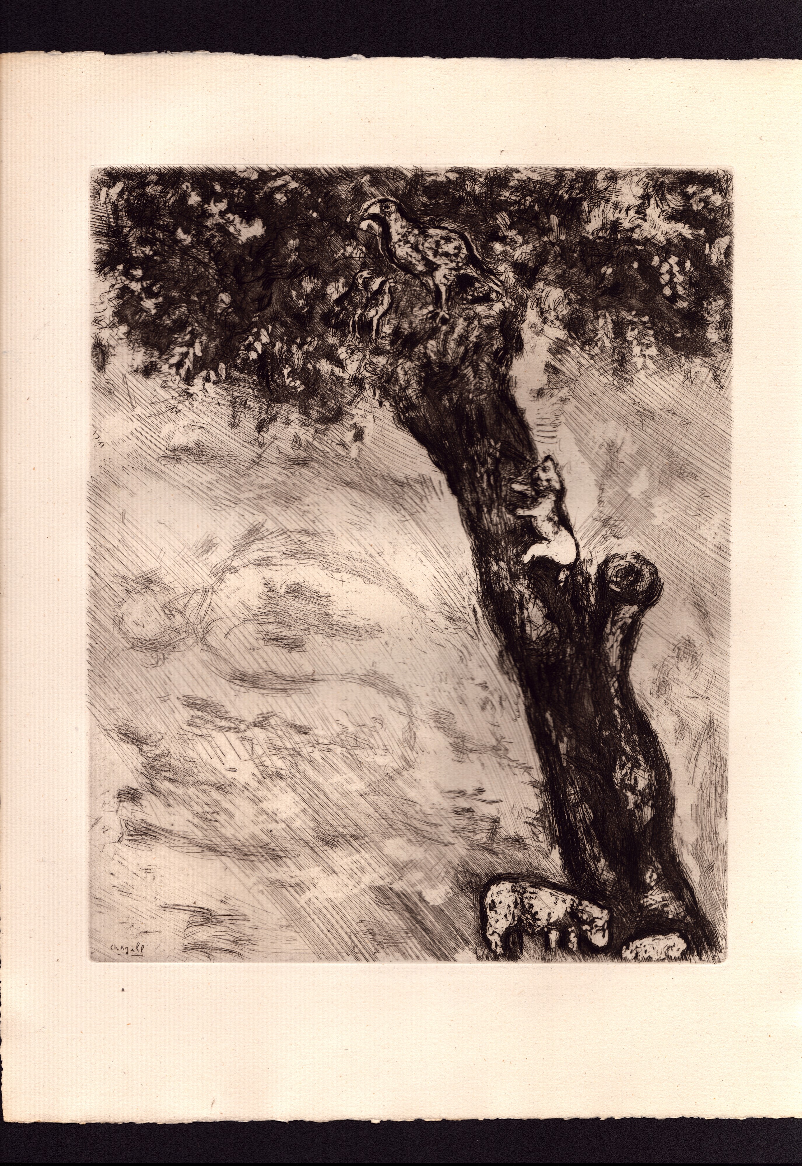 Marc Chagall - Les Fables - Lotto di 28 incisioni