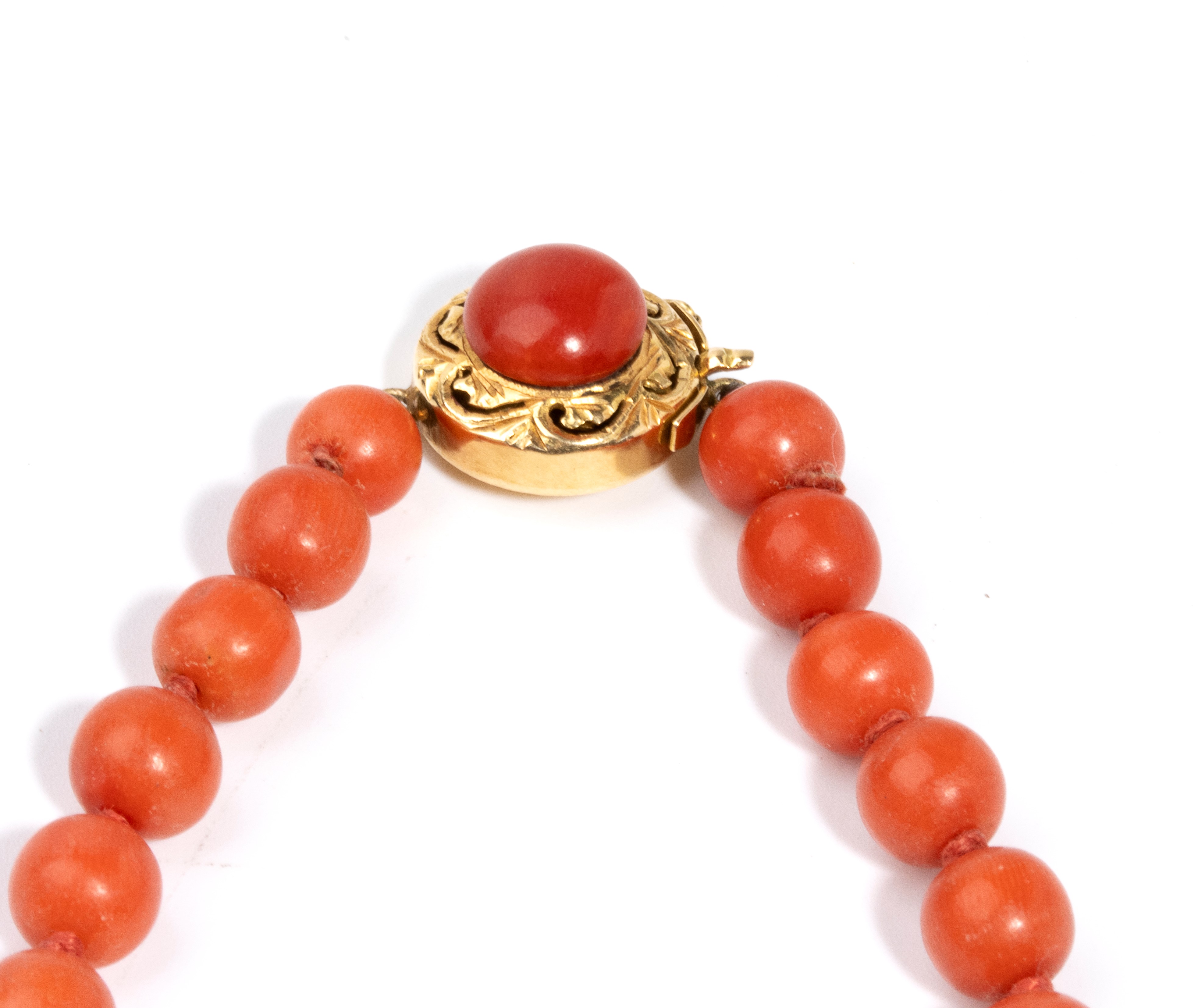 Collana in corallo del Mediterraneo, filo di sfere in Corallum Rubrum con fermaglio in oro giallo...